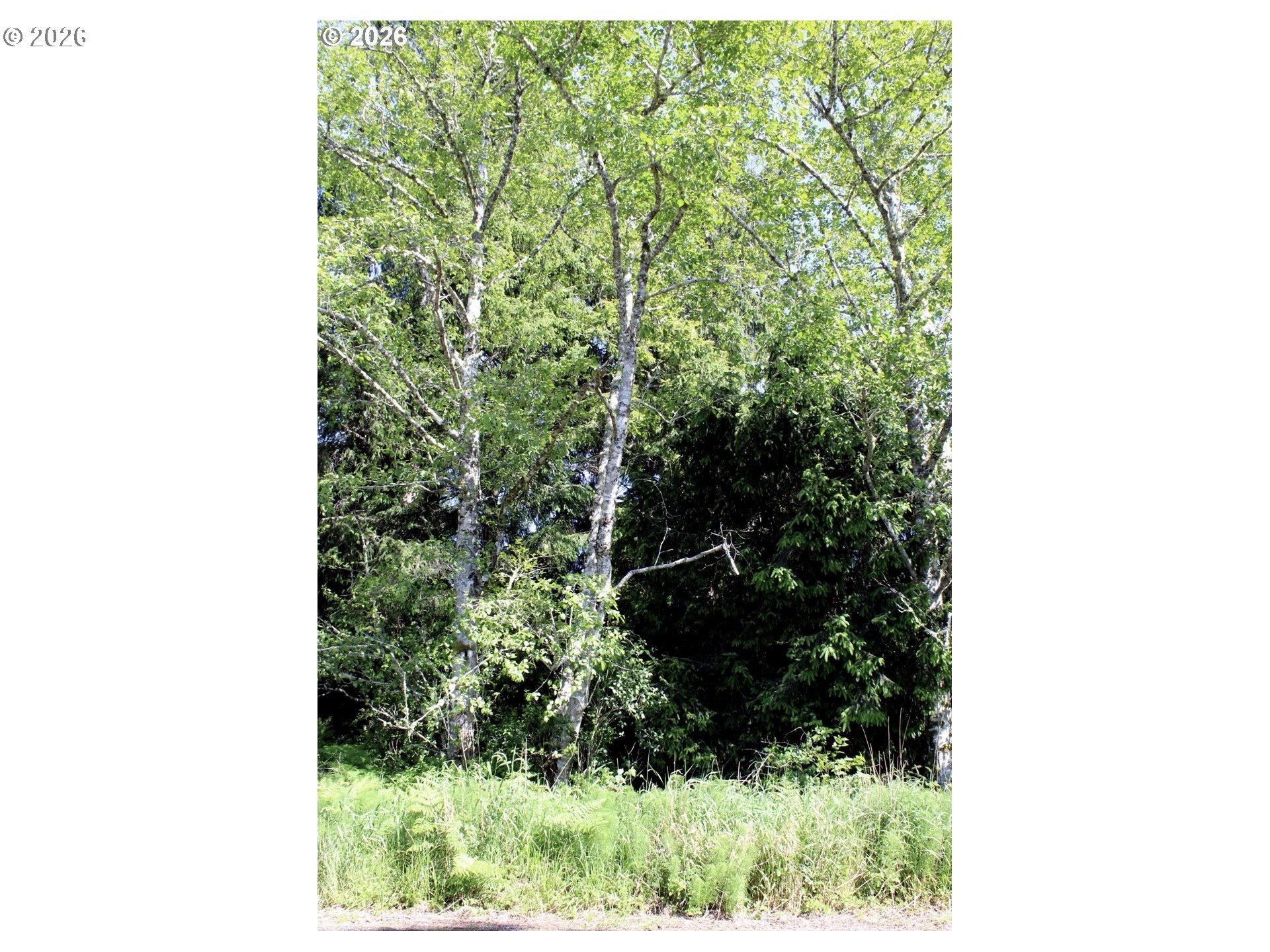 32206 R Pl Property Photo 5