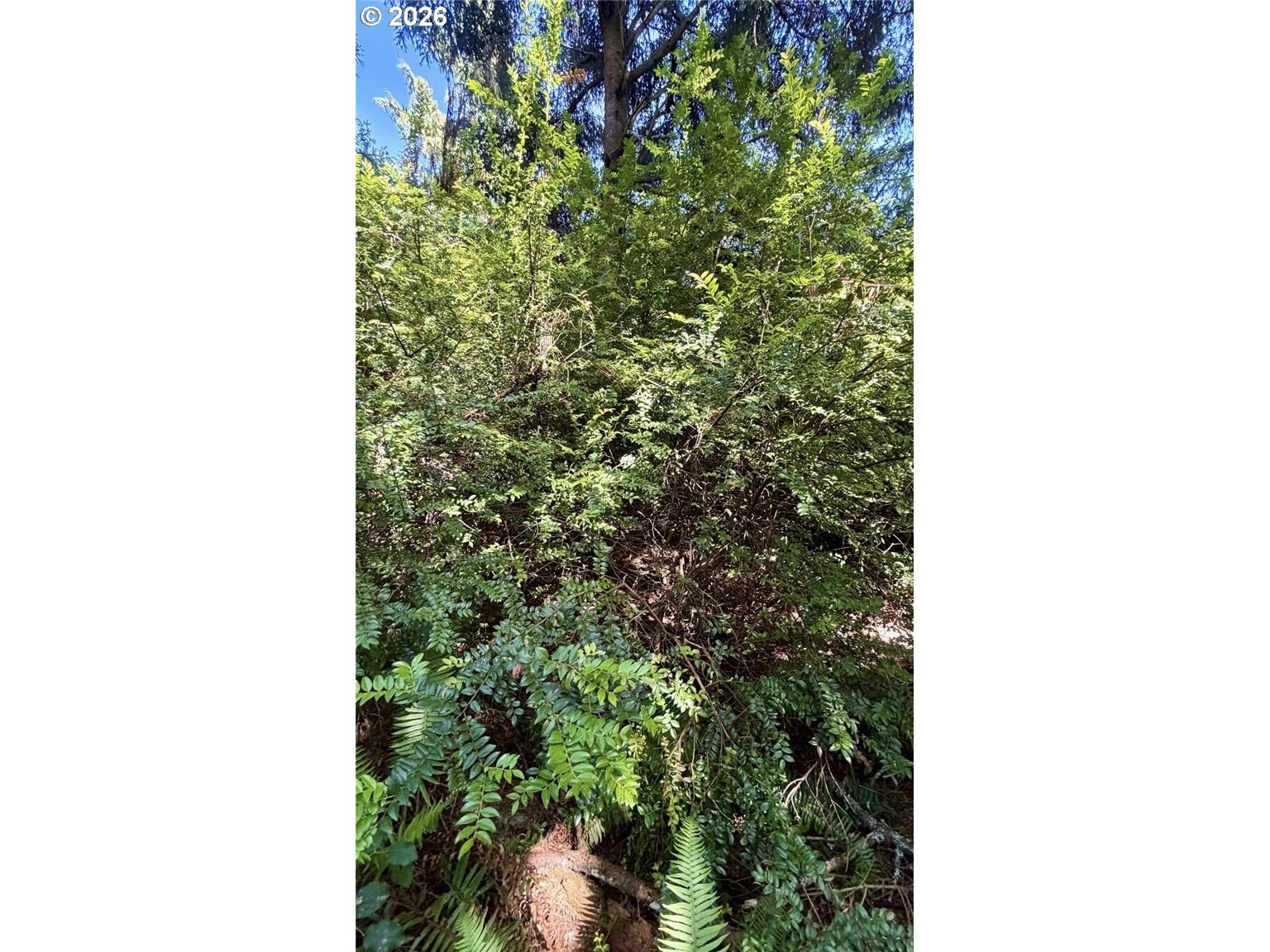 32206 R Pl Property Photo 6