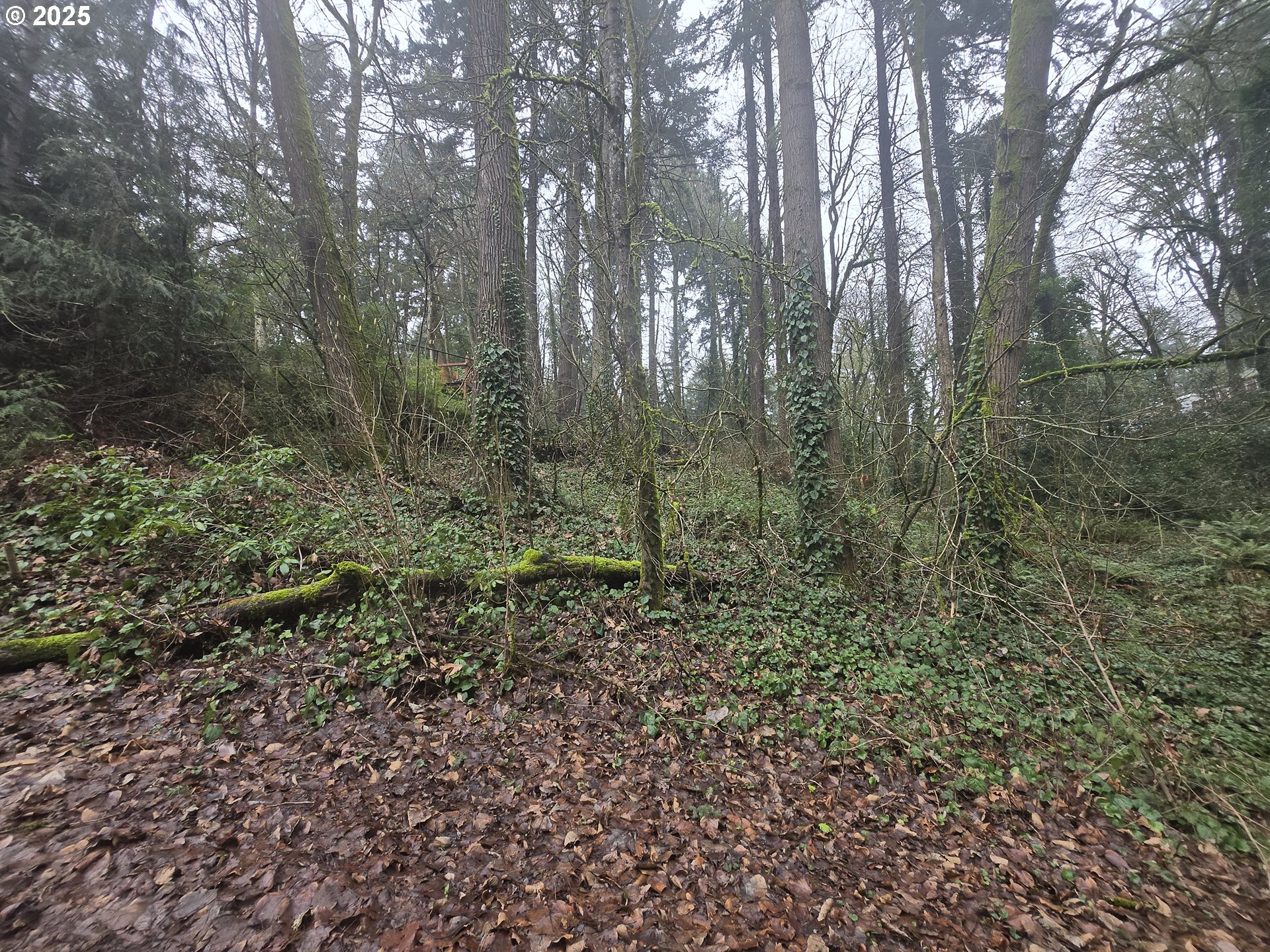 Sw Levy Code 001 Property Photo 2