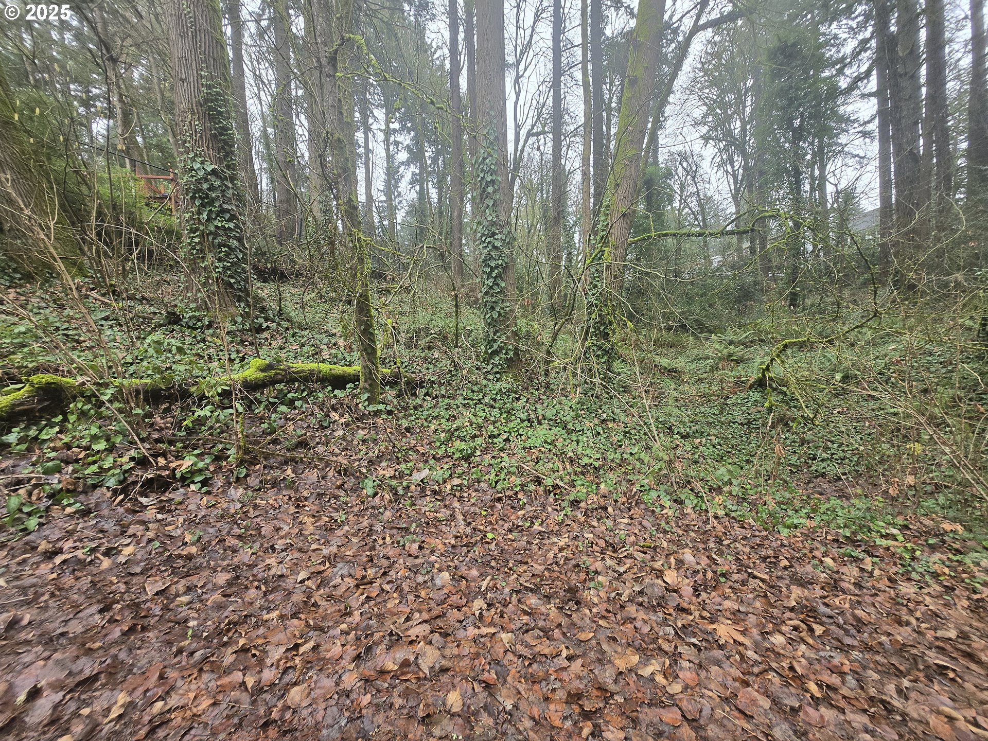 Sw Levy Code 001 Property Photo 3