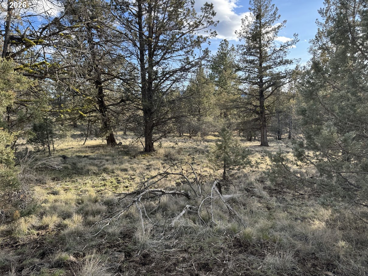 Canvasback Dr 36 Property Photo 1