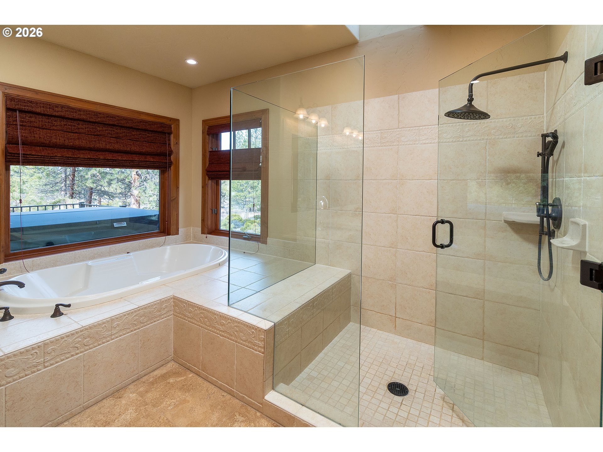 20112 Starfire Ridge Ct Property Photo 20