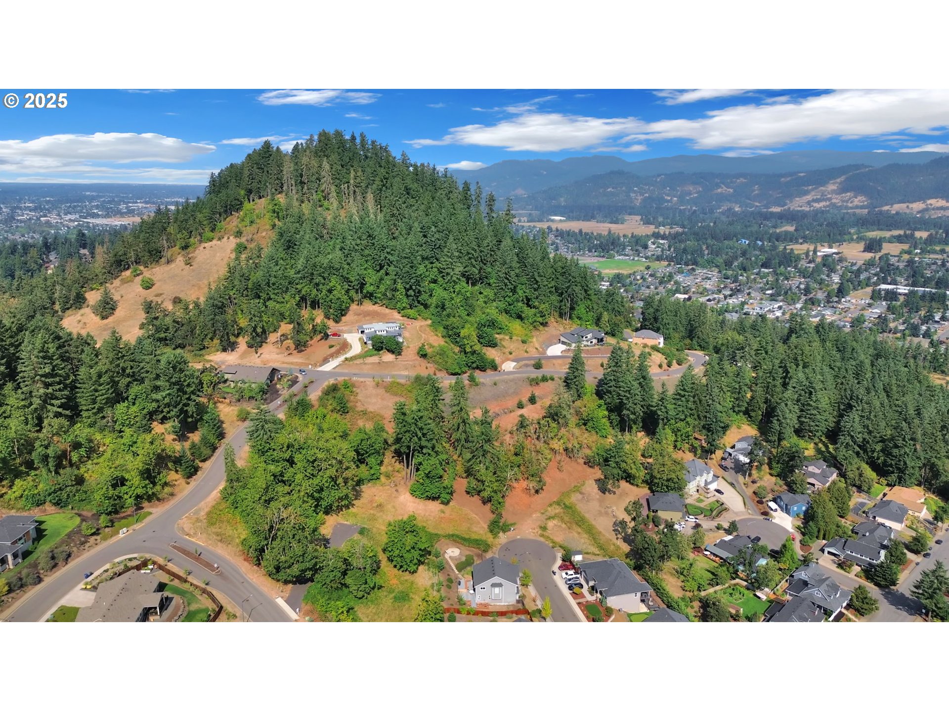 Forest Ridge Dr Property Photo 3