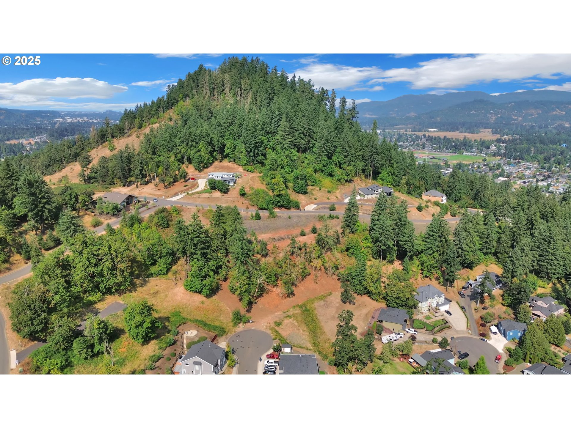 Forest Ridge Dr Property Photo 4