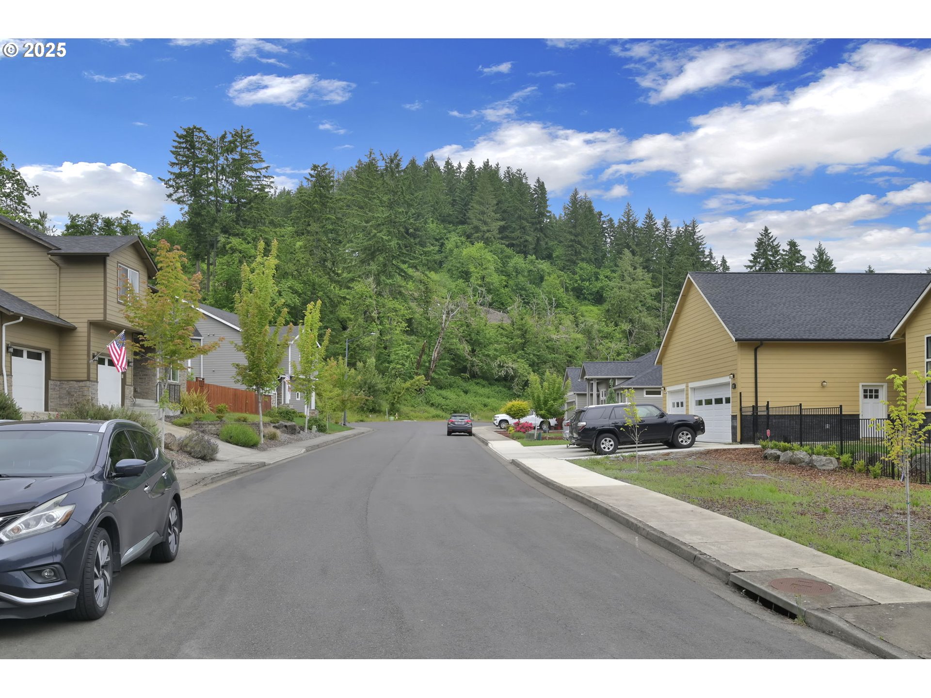 Forest Ridge Dr Property Photo 5