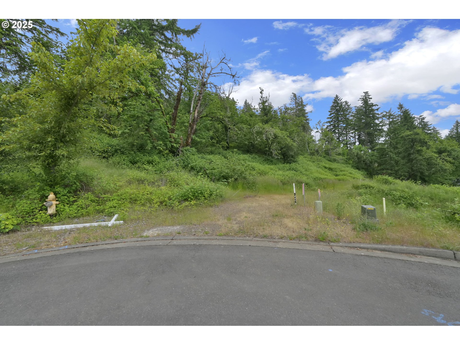 Forest Ridge Dr Property Photo 6