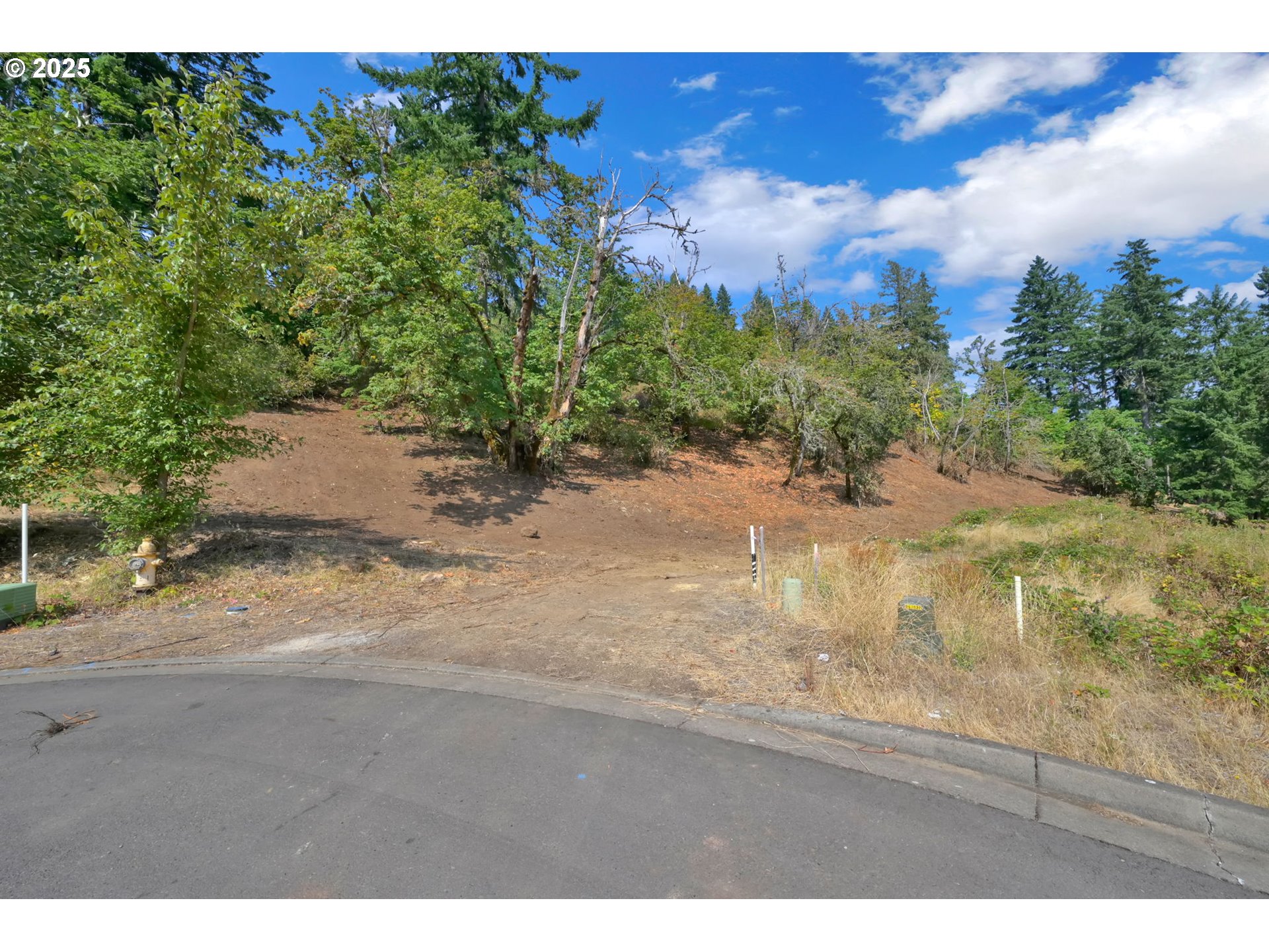Forest Ridge Dr Property Photo 7