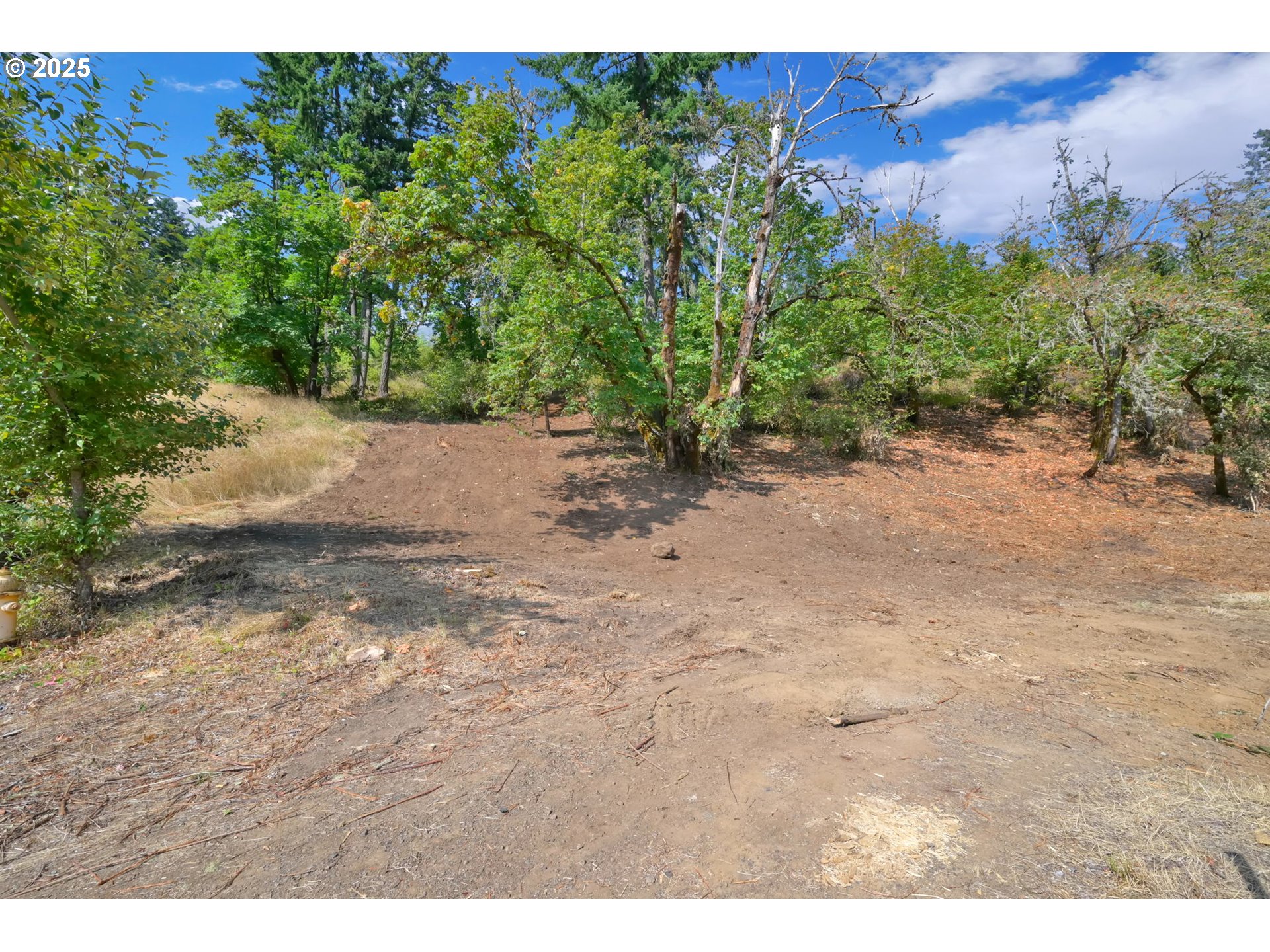 Forest Ridge Dr Property Photo 10
