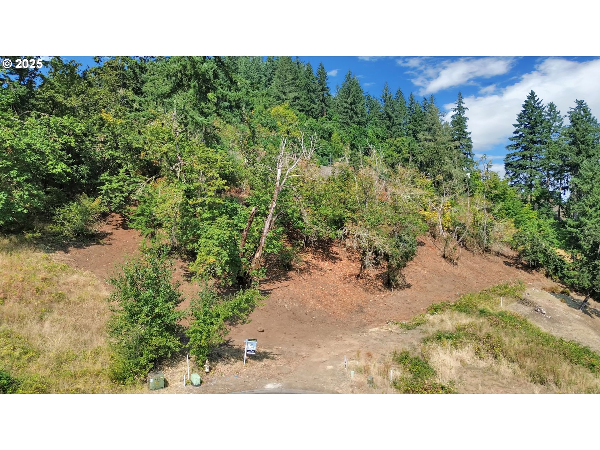 Forest Ridge Dr Property Photo 11