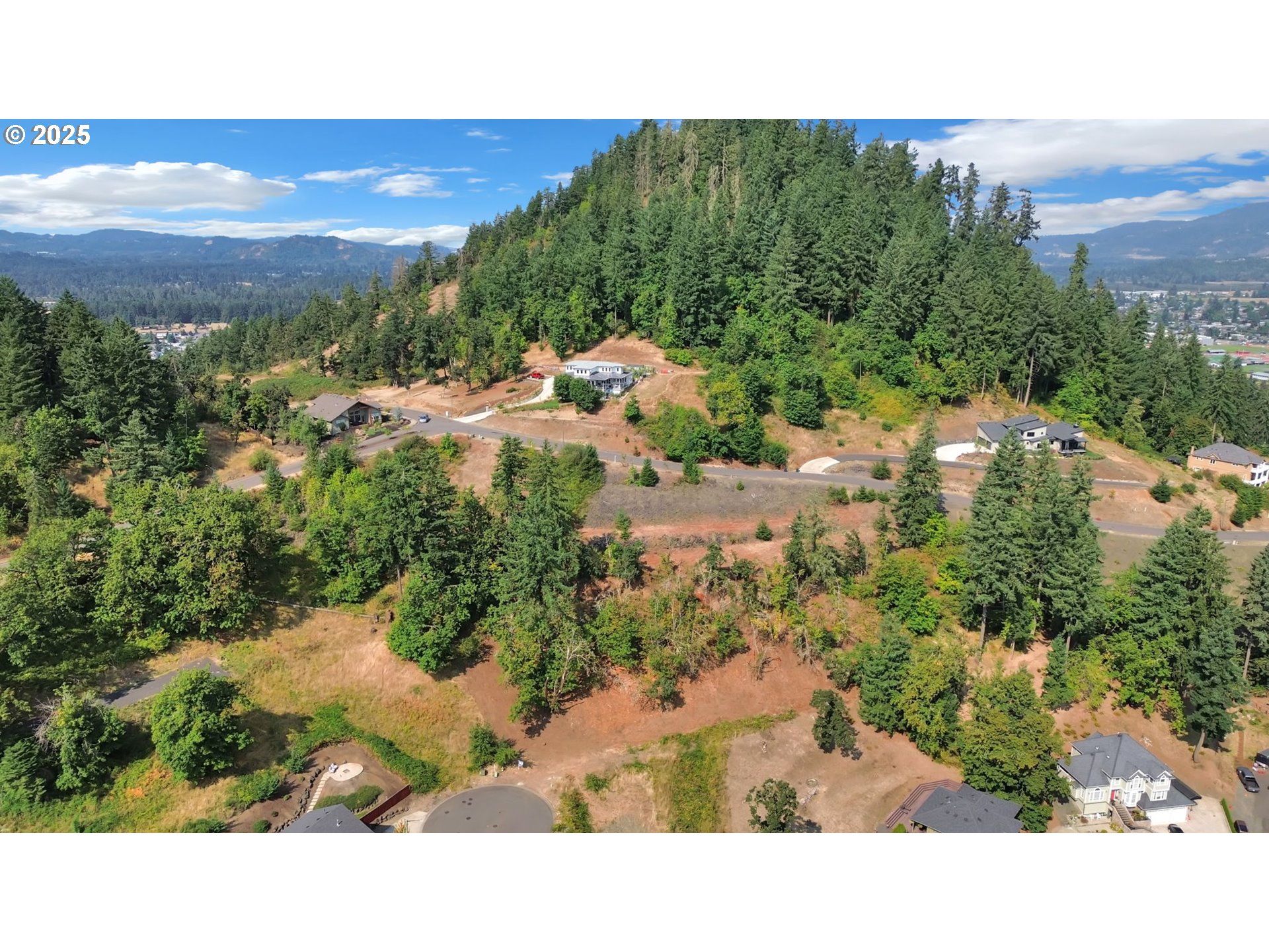 Forest Ridge Dr Property Photo 12