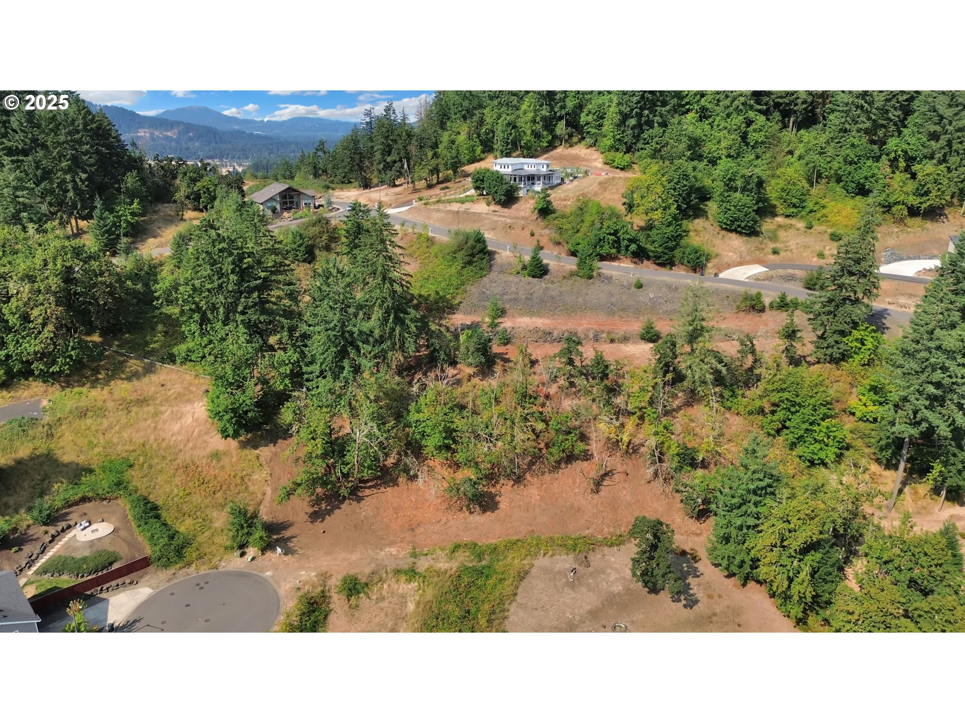 Forest Ridge Dr Property Photo 13