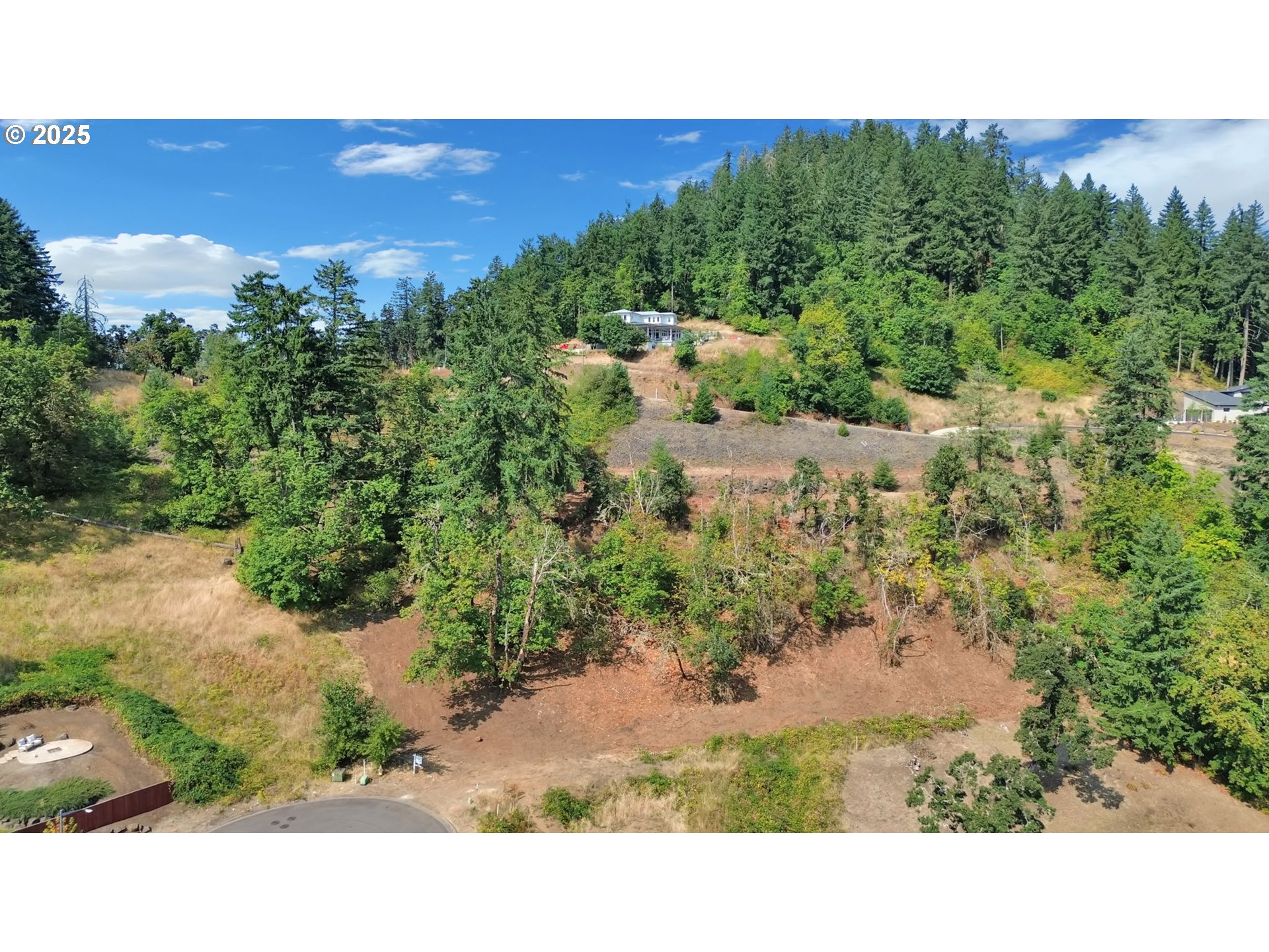 Forest Ridge Dr Property Photo 16