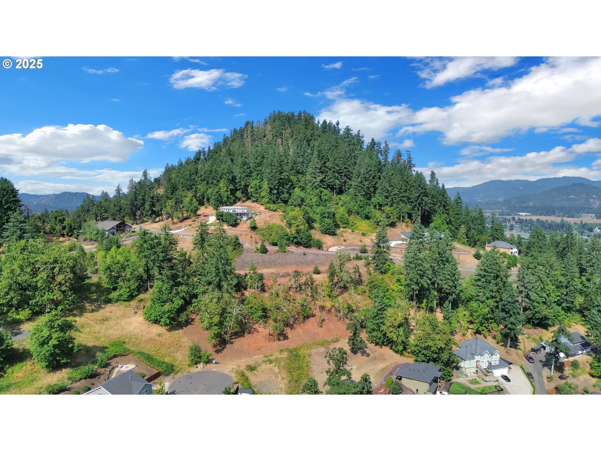 Forest Ridge Dr Property Photo 17
