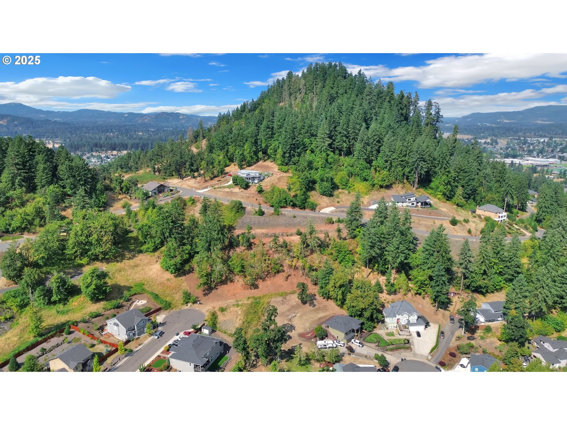 Forest Ridge Dr Property Photo 19