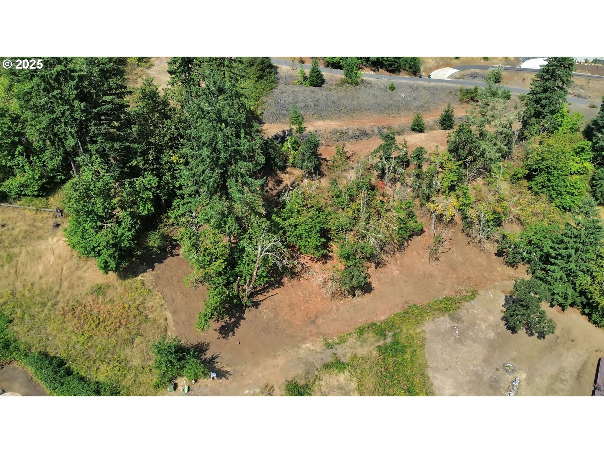 Forest Ridge Dr Property Photo 20