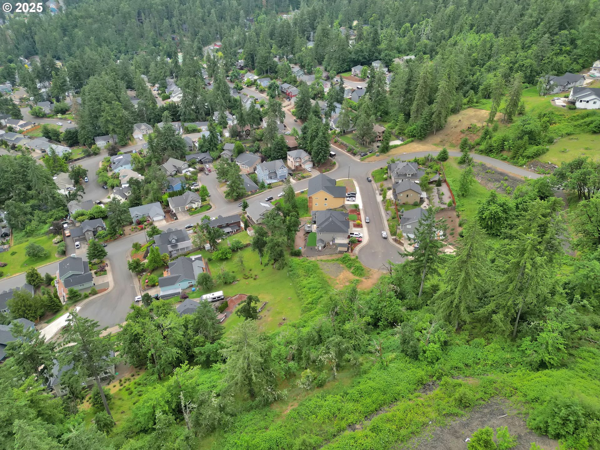 Forest Ridge Dr Property Photo 31