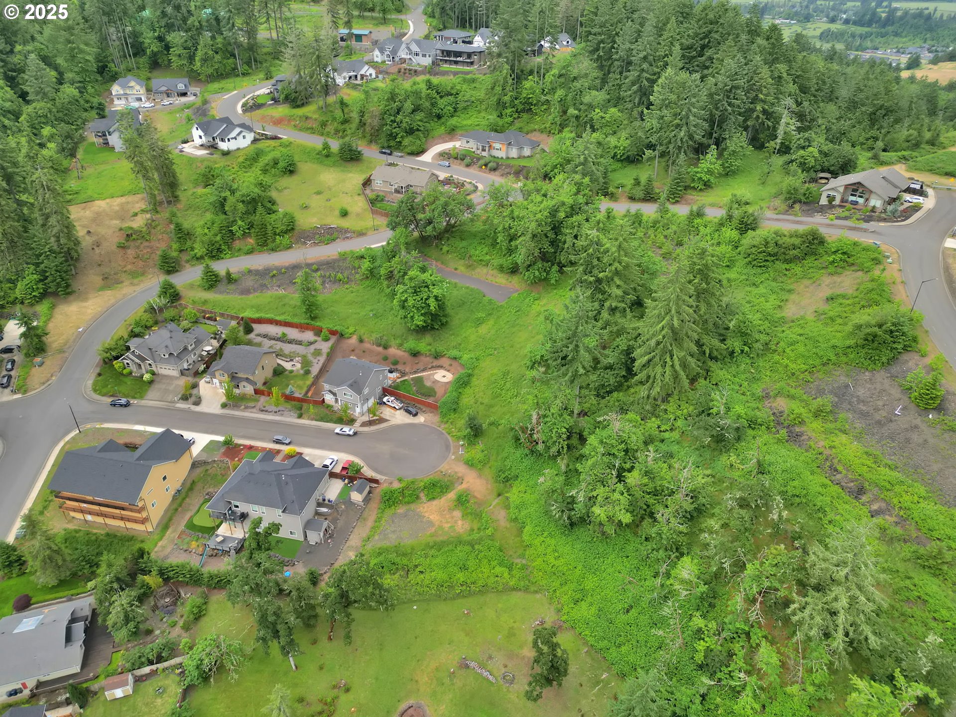 Forest Ridge Dr Property Photo 32