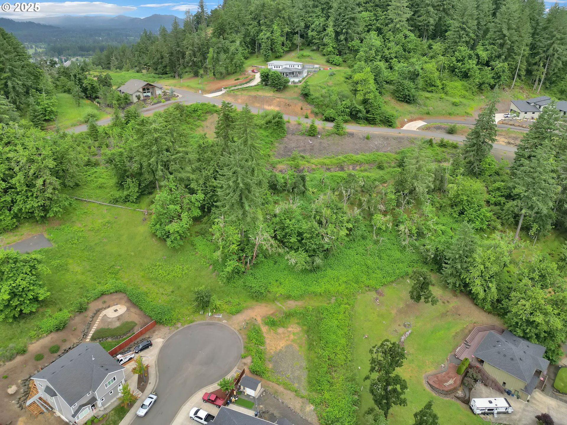 Forest Ridge Dr Property Photo 33
