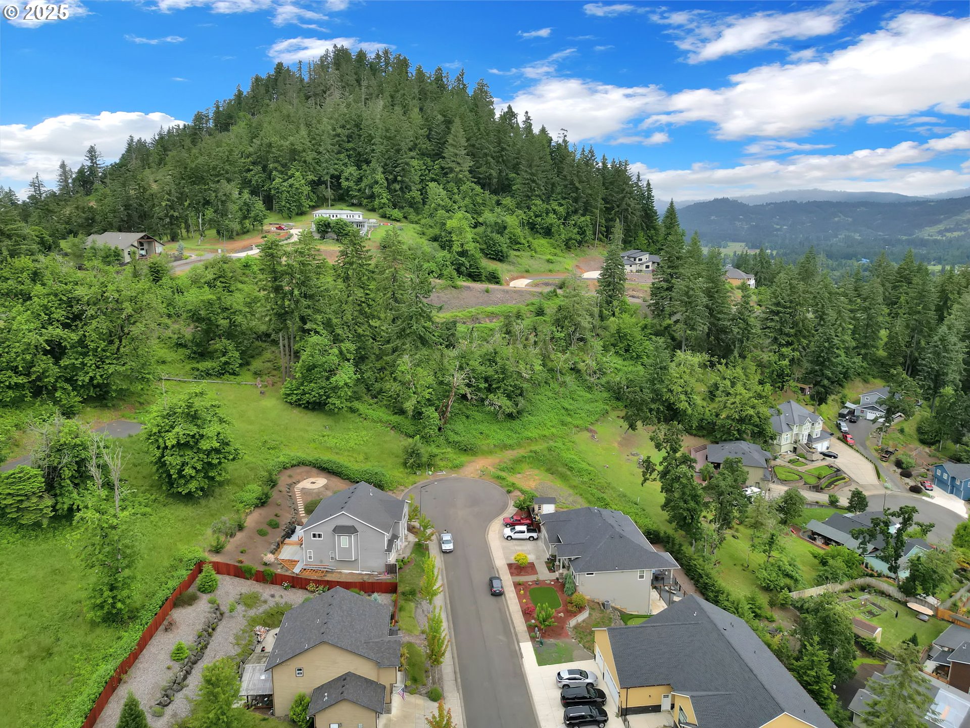 Forest Ridge Dr Property Photo 34
