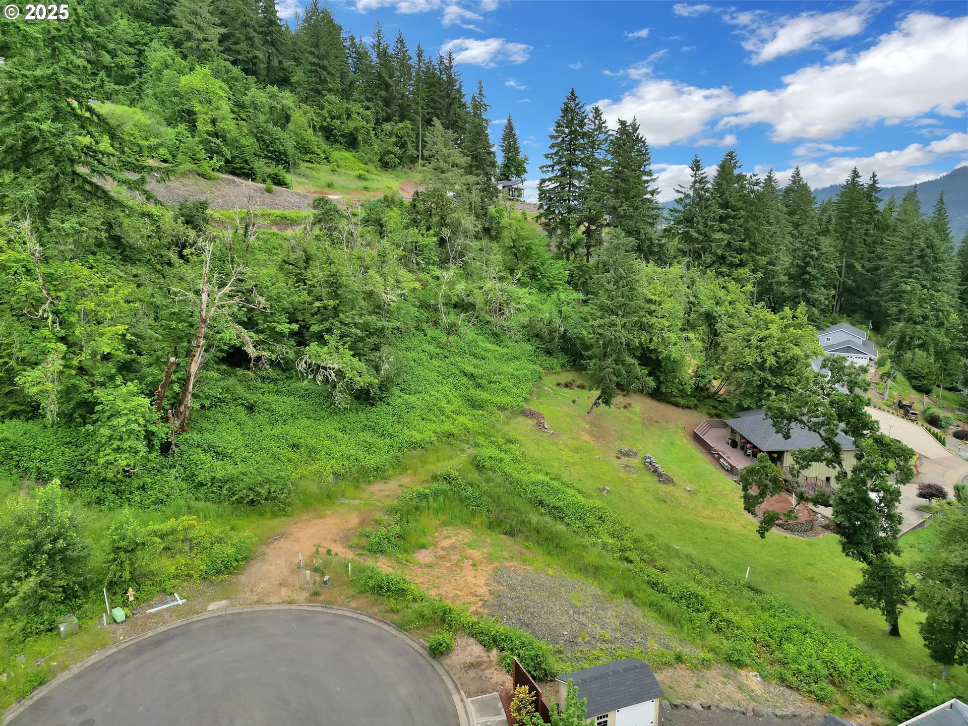 Forest Ridge Dr Property Photo 35