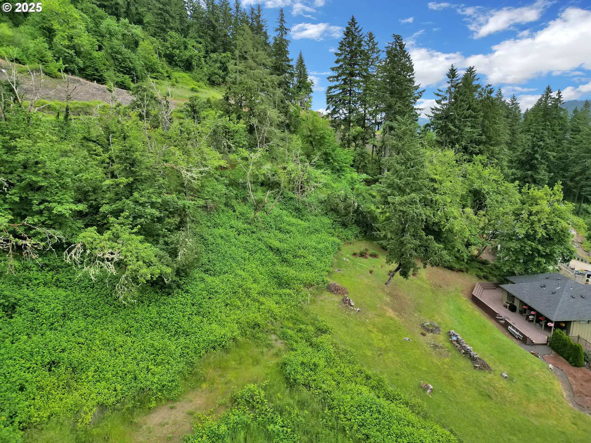 Forest Ridge Dr Property Photo 36