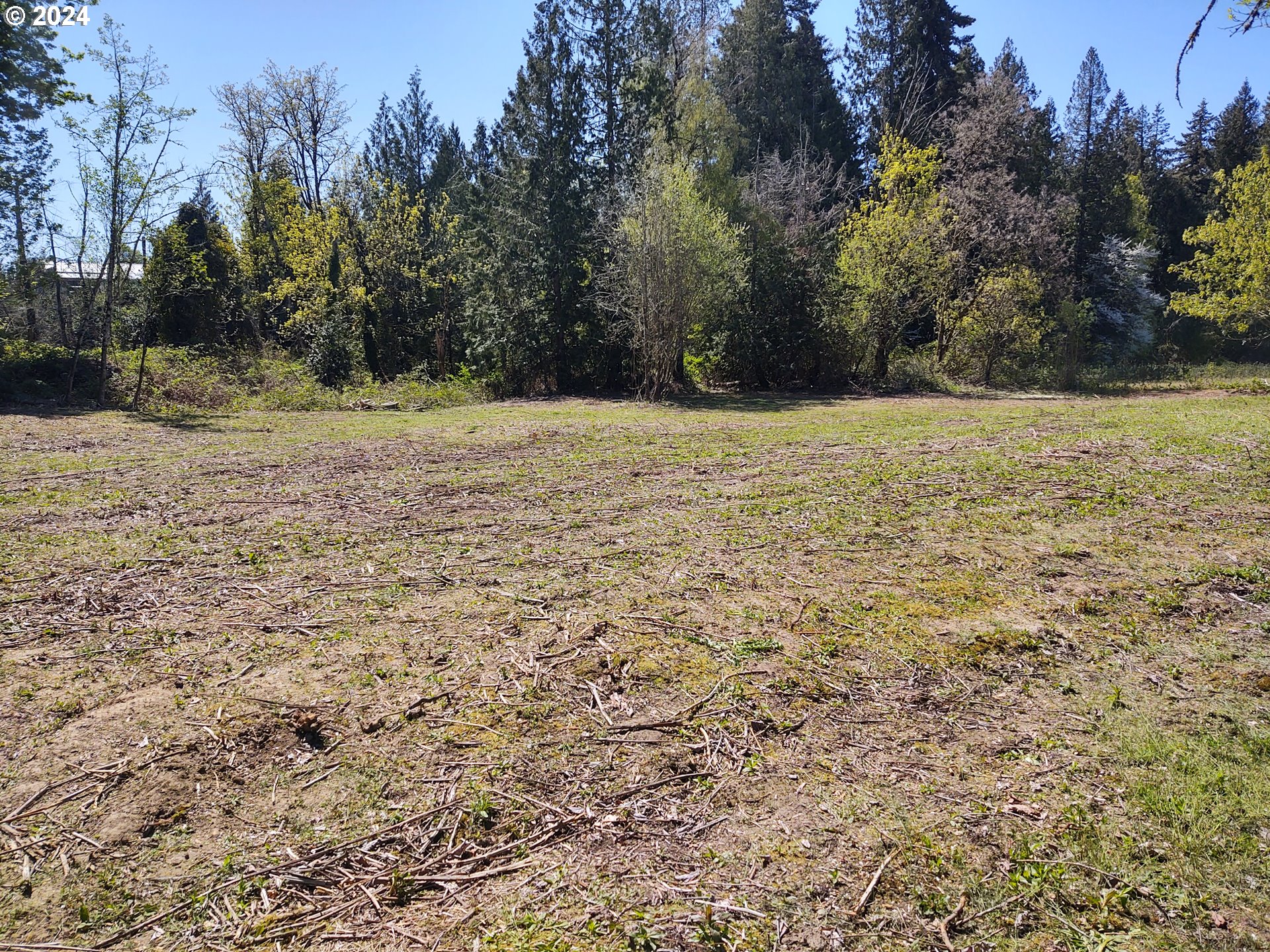 27238 Se Carl St Property Photo 3