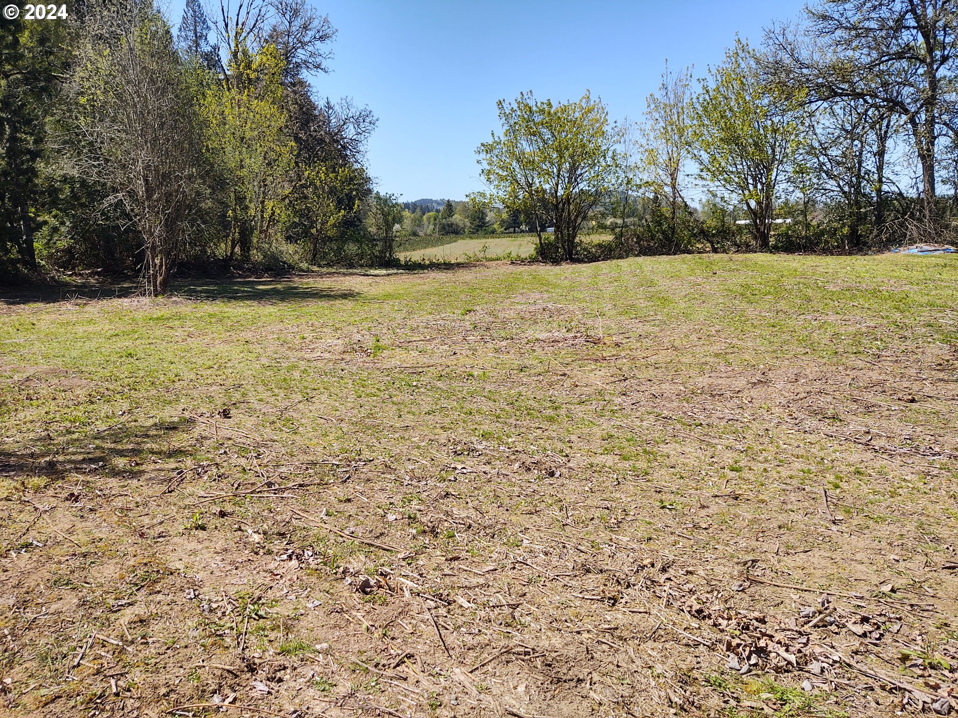 27238 Se Carl St Property Photo 6