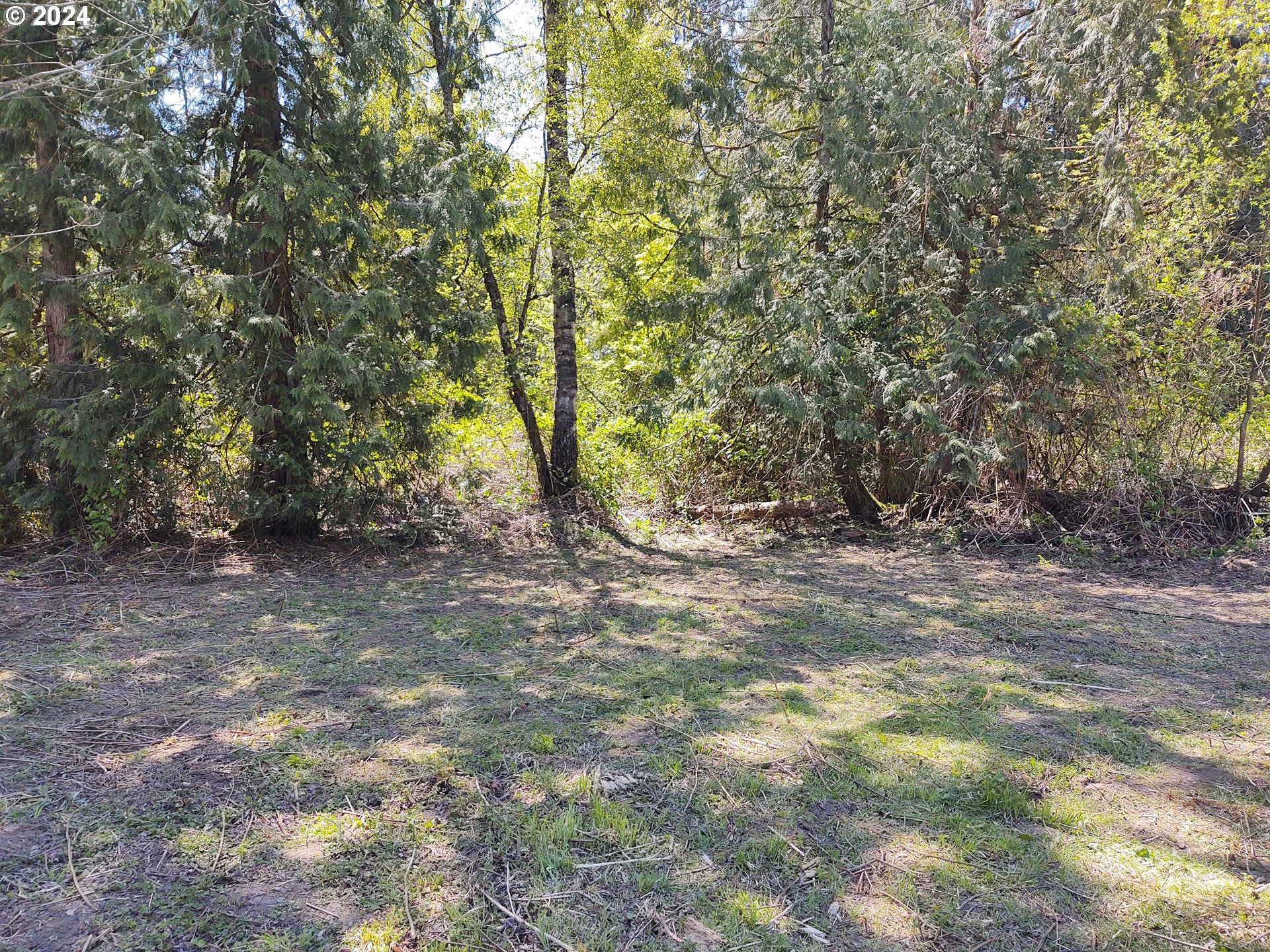 27238 Se Carl St Property Photo 10