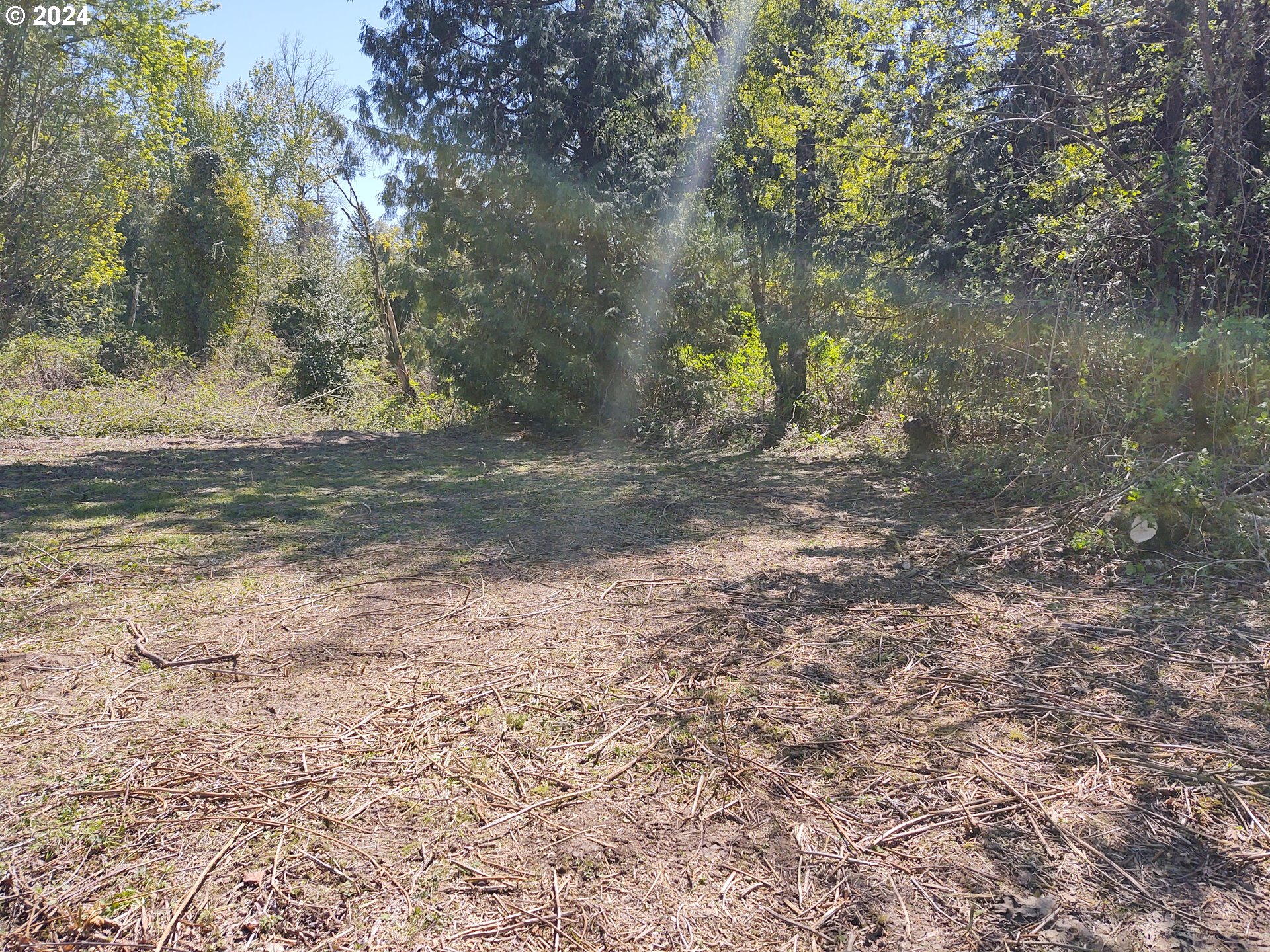27238 Se Carl St Property Photo 11