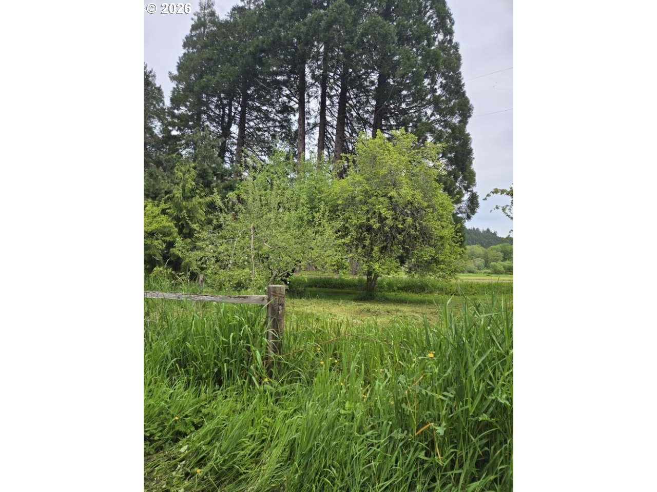 10195 Sweet Creek Rd Property Photo 3