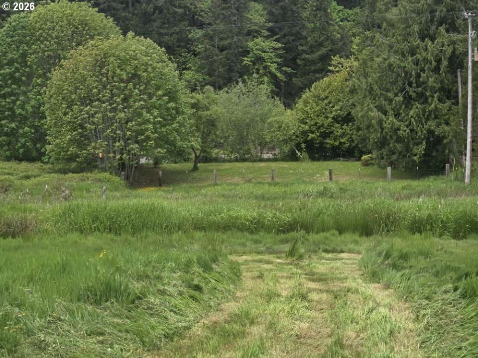 10195 Sweet Creek Rd Property Photo 4