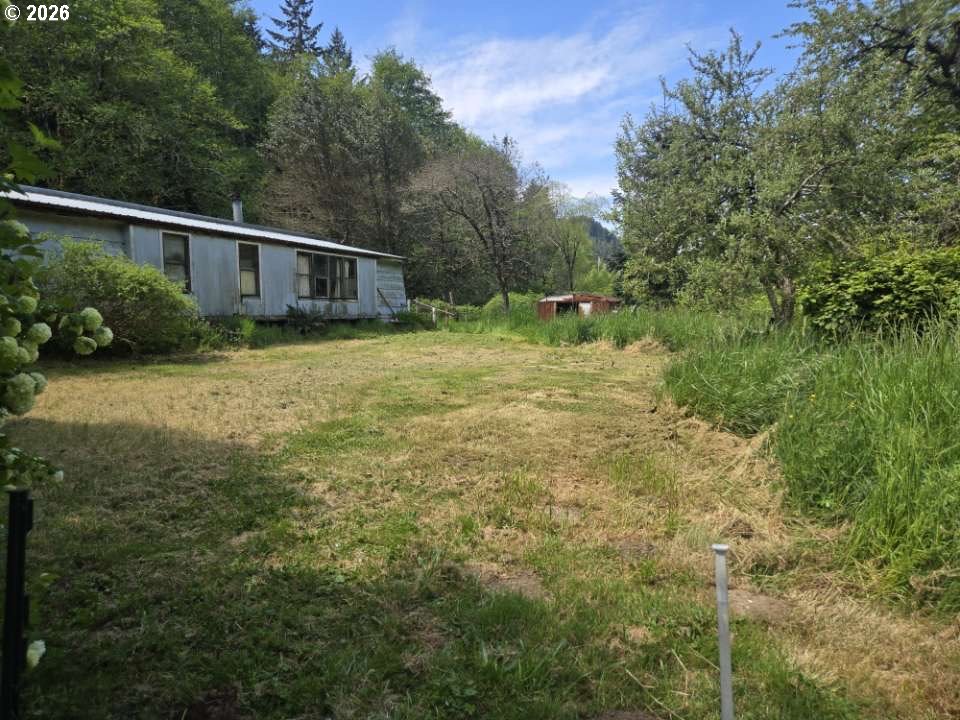 10195 Sweet Creek Rd Property Photo 6
