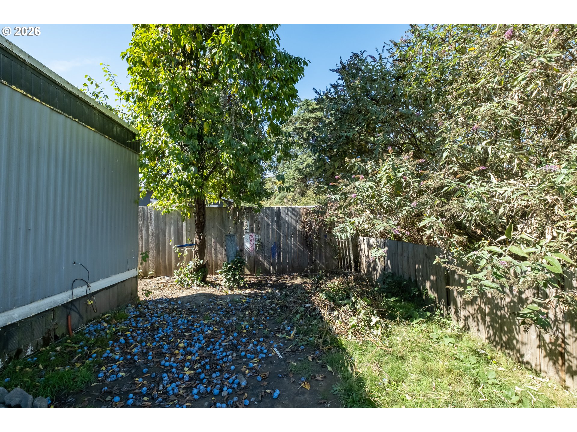 1530 Tamarack St 79 Property Photo 25
