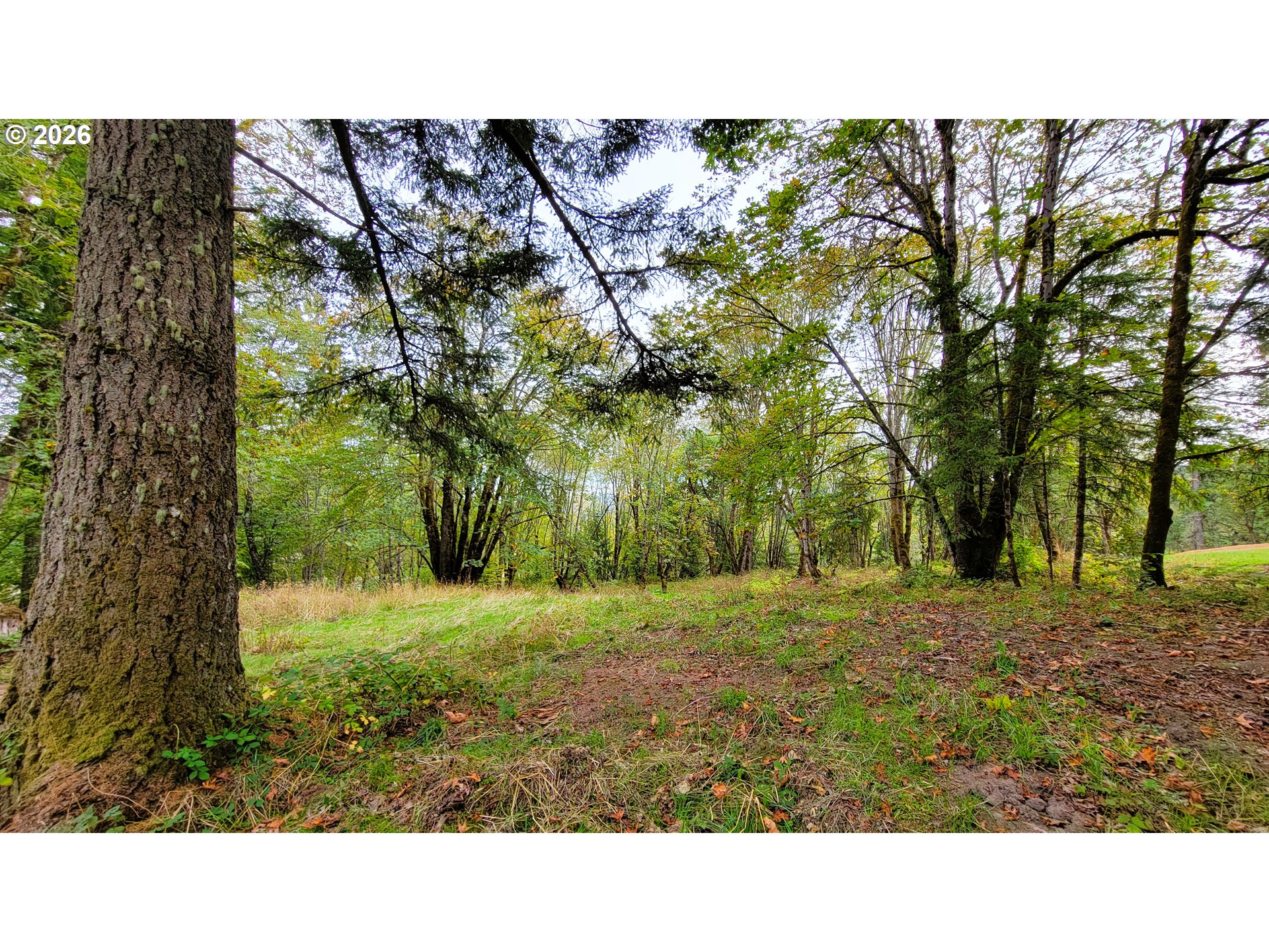 2300 Firland Blvd 6800 Property Photo 11