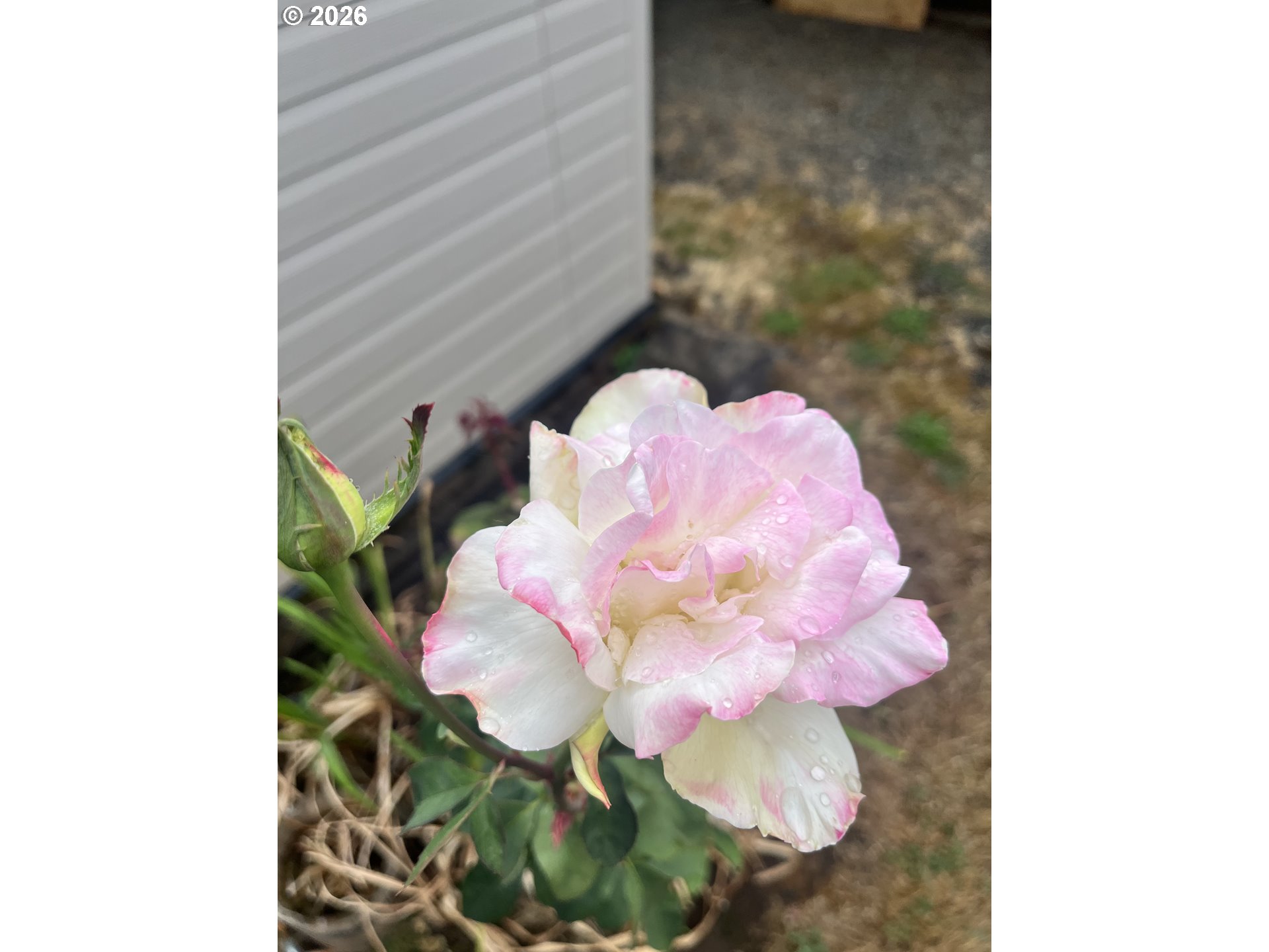 1453 C St Property Photo 17