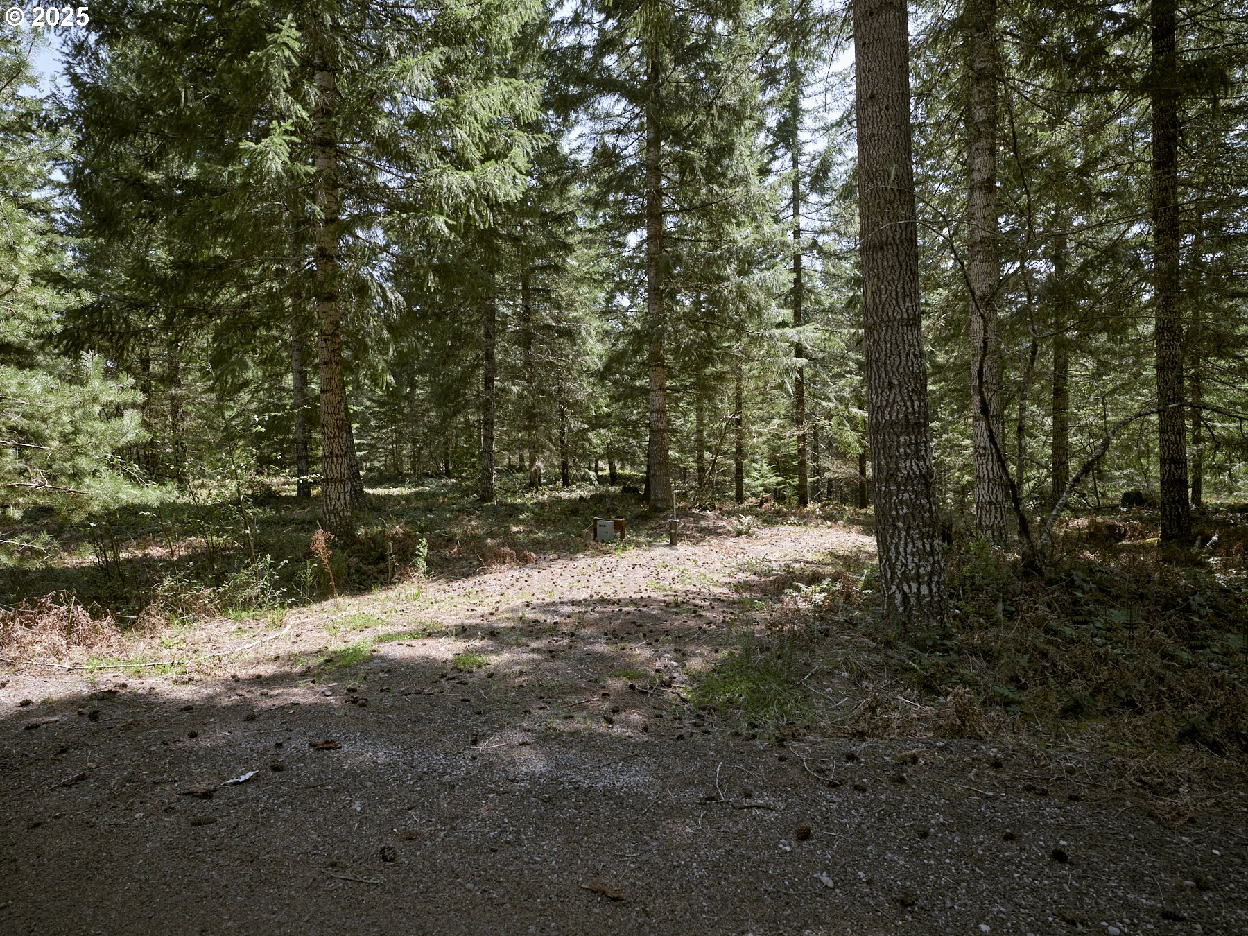 2 Loowit Ln Property Photo 9