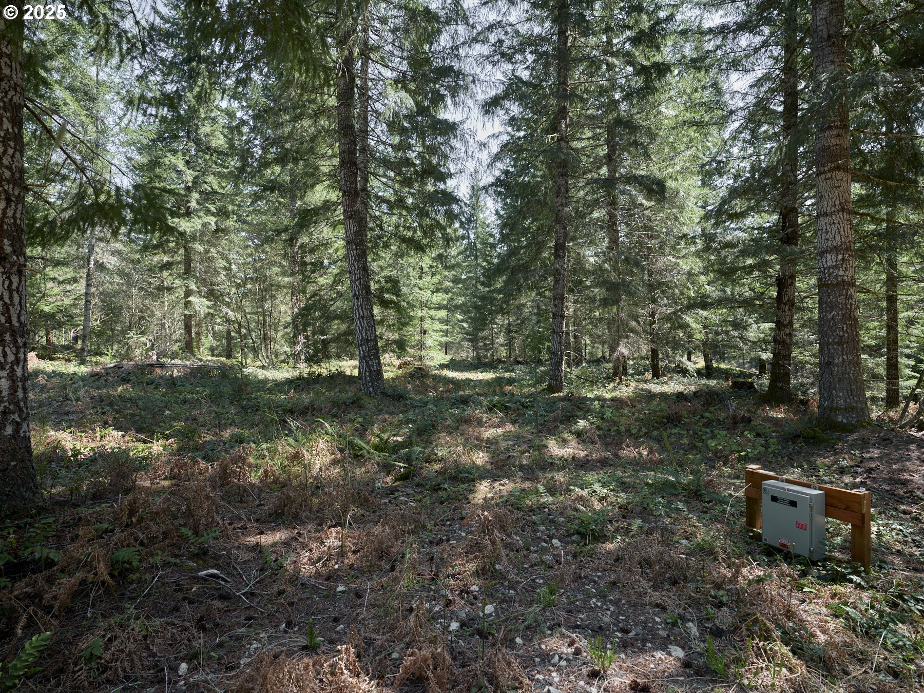 2 Loowit Ln Property Photo 10