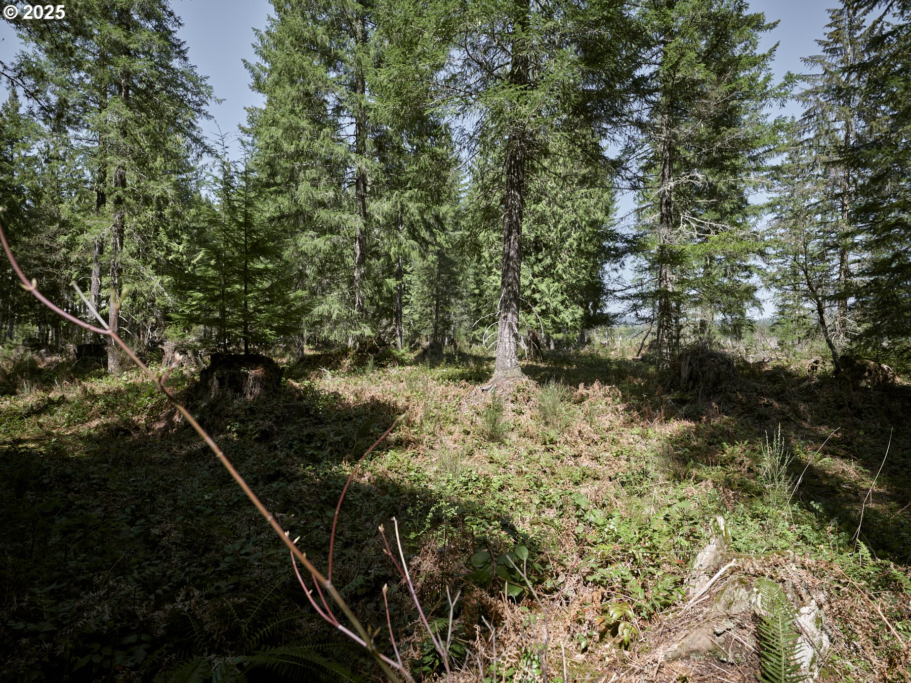2 Loowit Ln Property Photo 14
