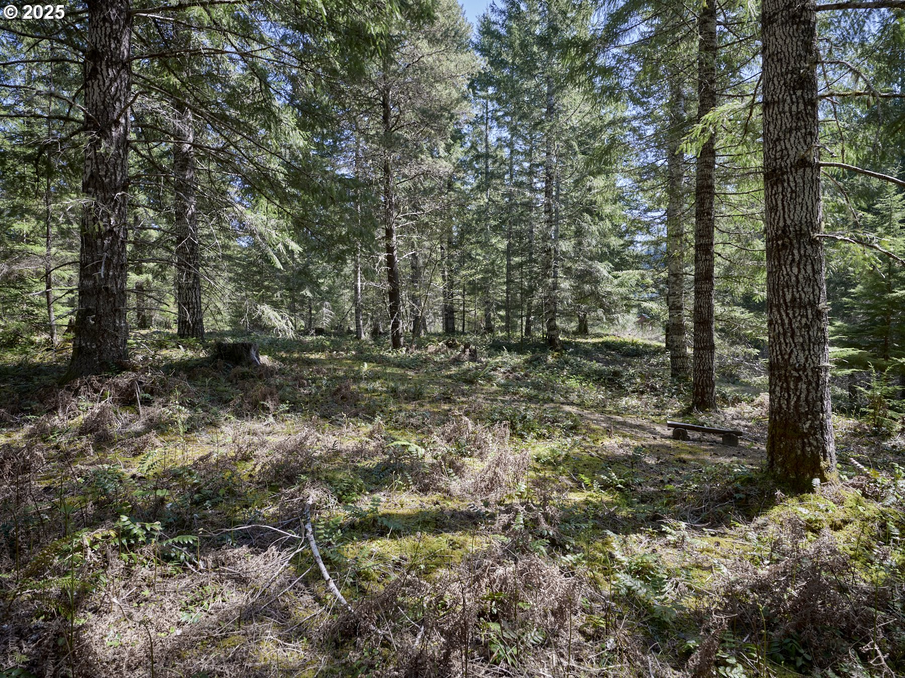 2 Loowit Ln Property Photo 15