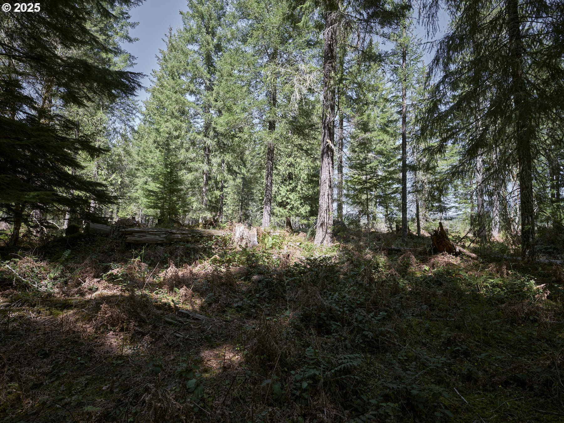 2 Loowit Ln Property Photo 23