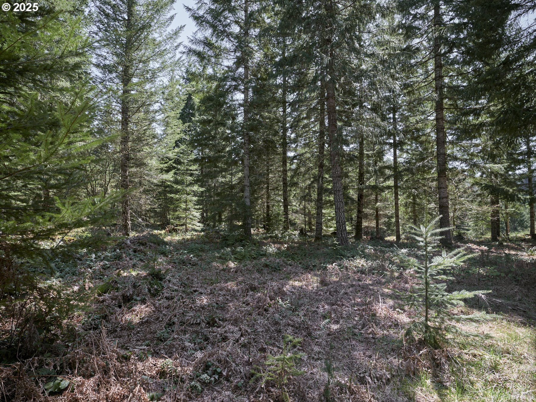 2 Loowit Ln Property Photo 27