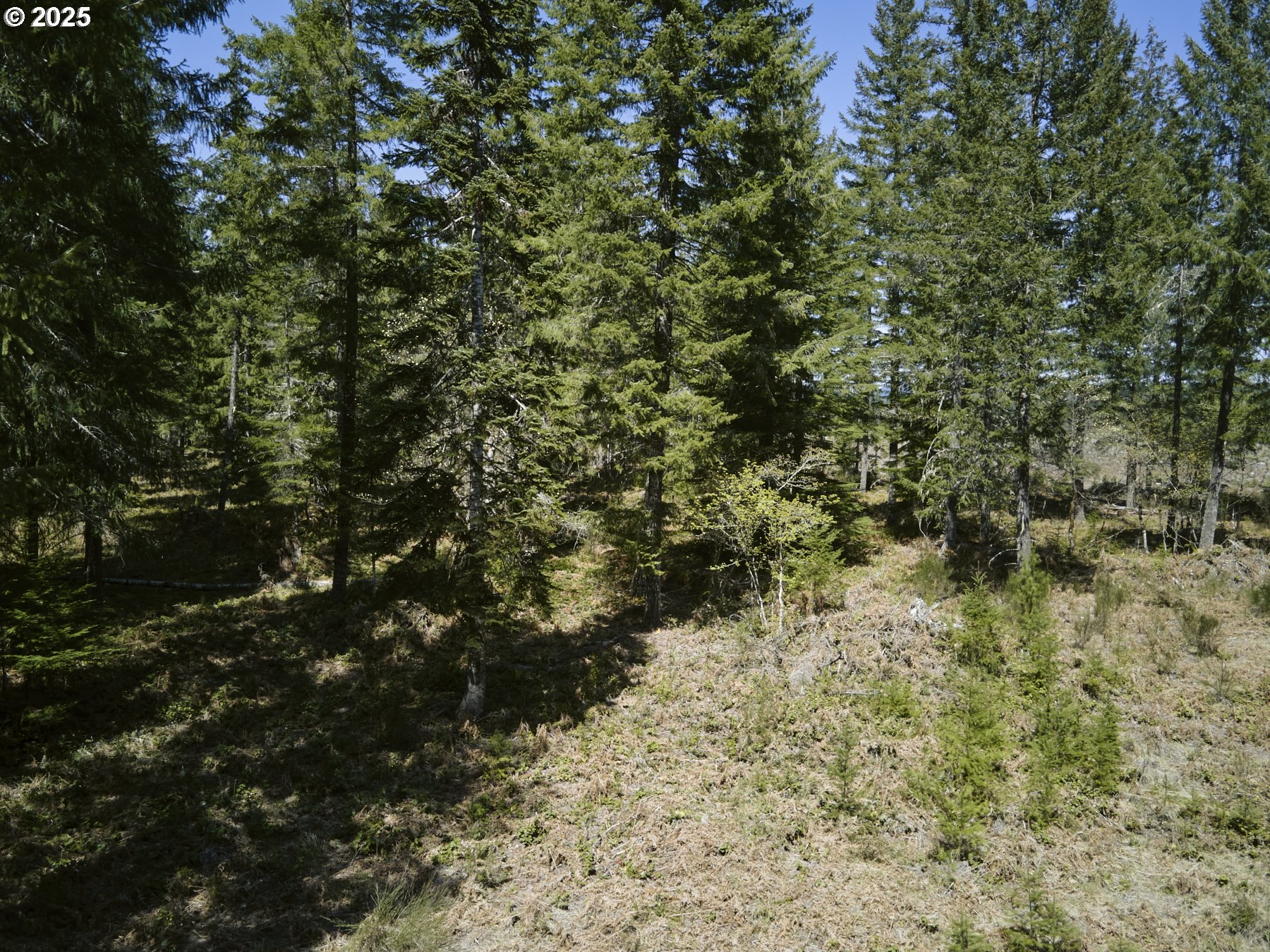 2 Loowit Ln Property Photo 28
