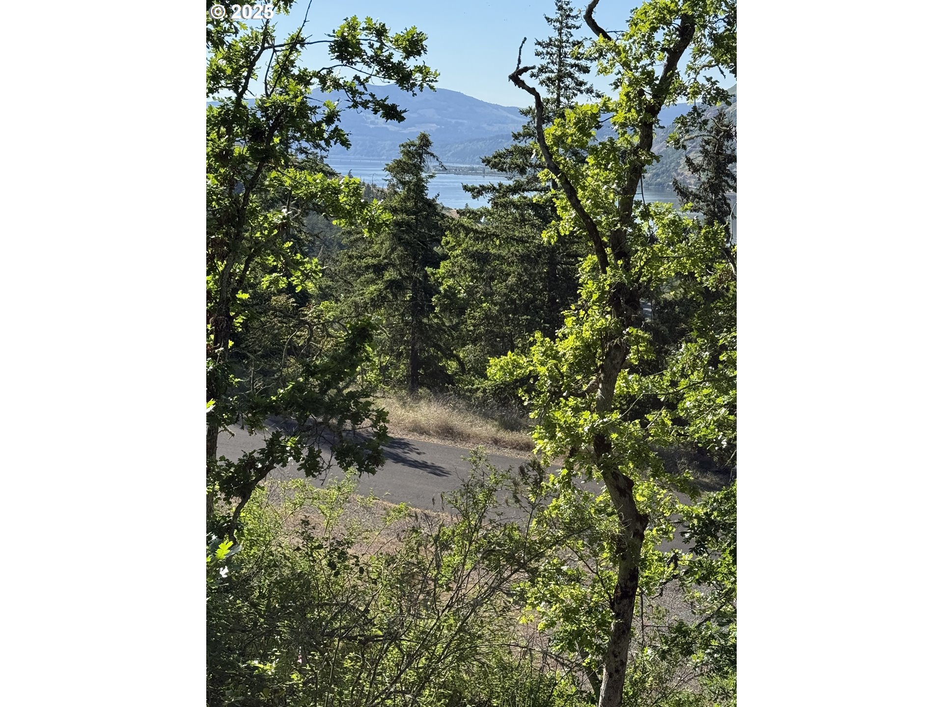 Coyote Ct Lot #49 Property Photo 6