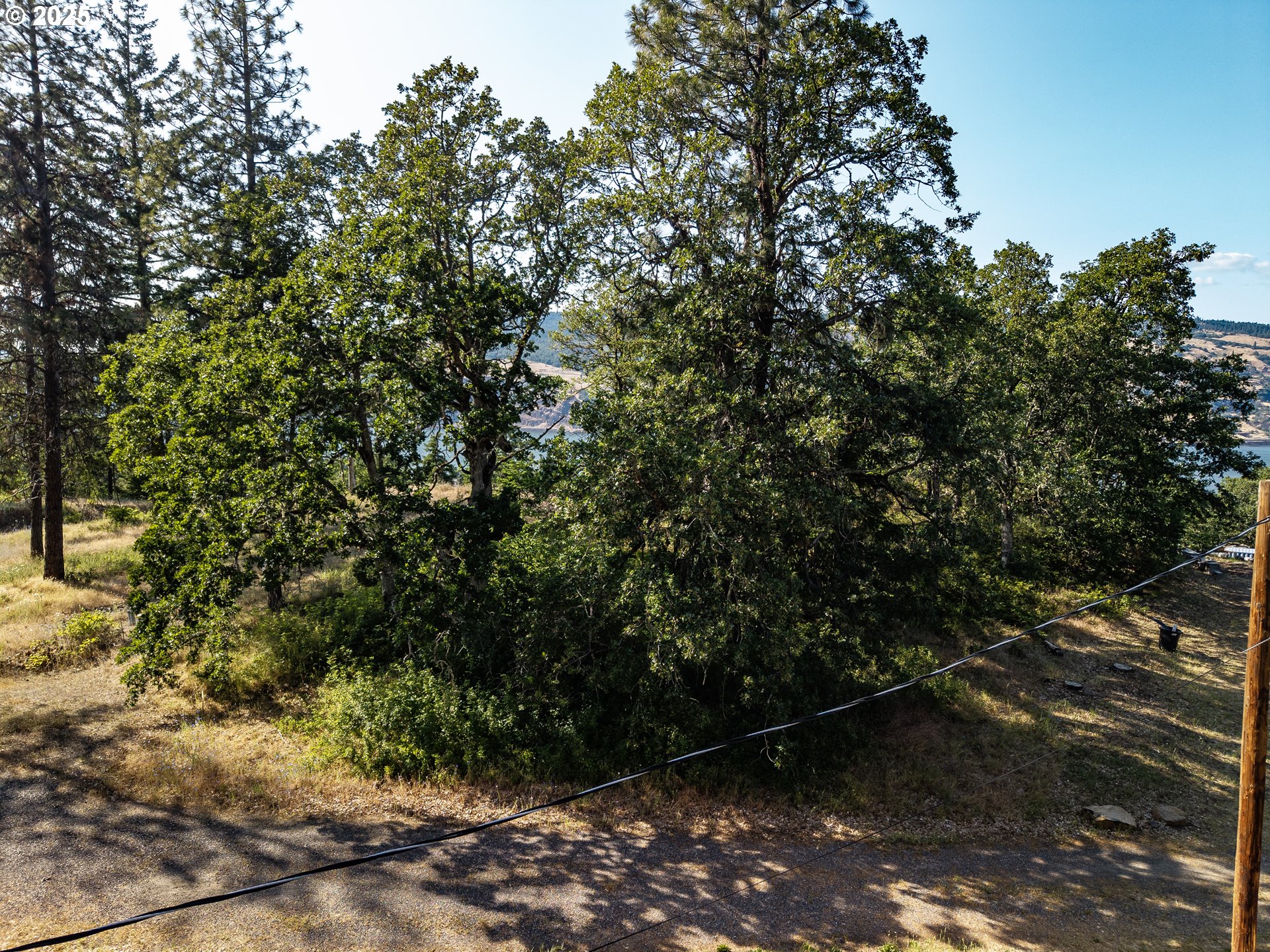 Coyote Ct Lot #49 Property Photo 9