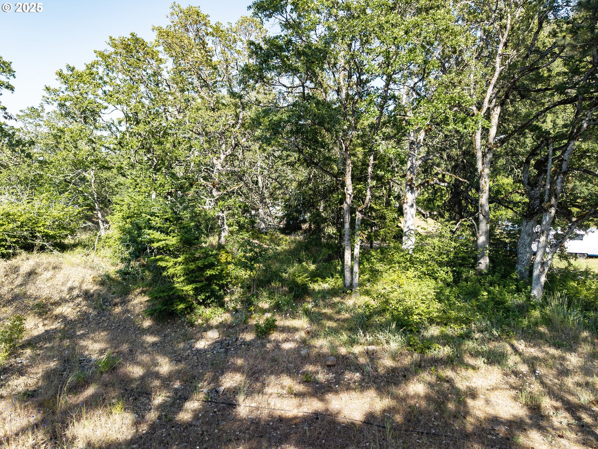 Coyote Ct Lot #49 Property Photo 10