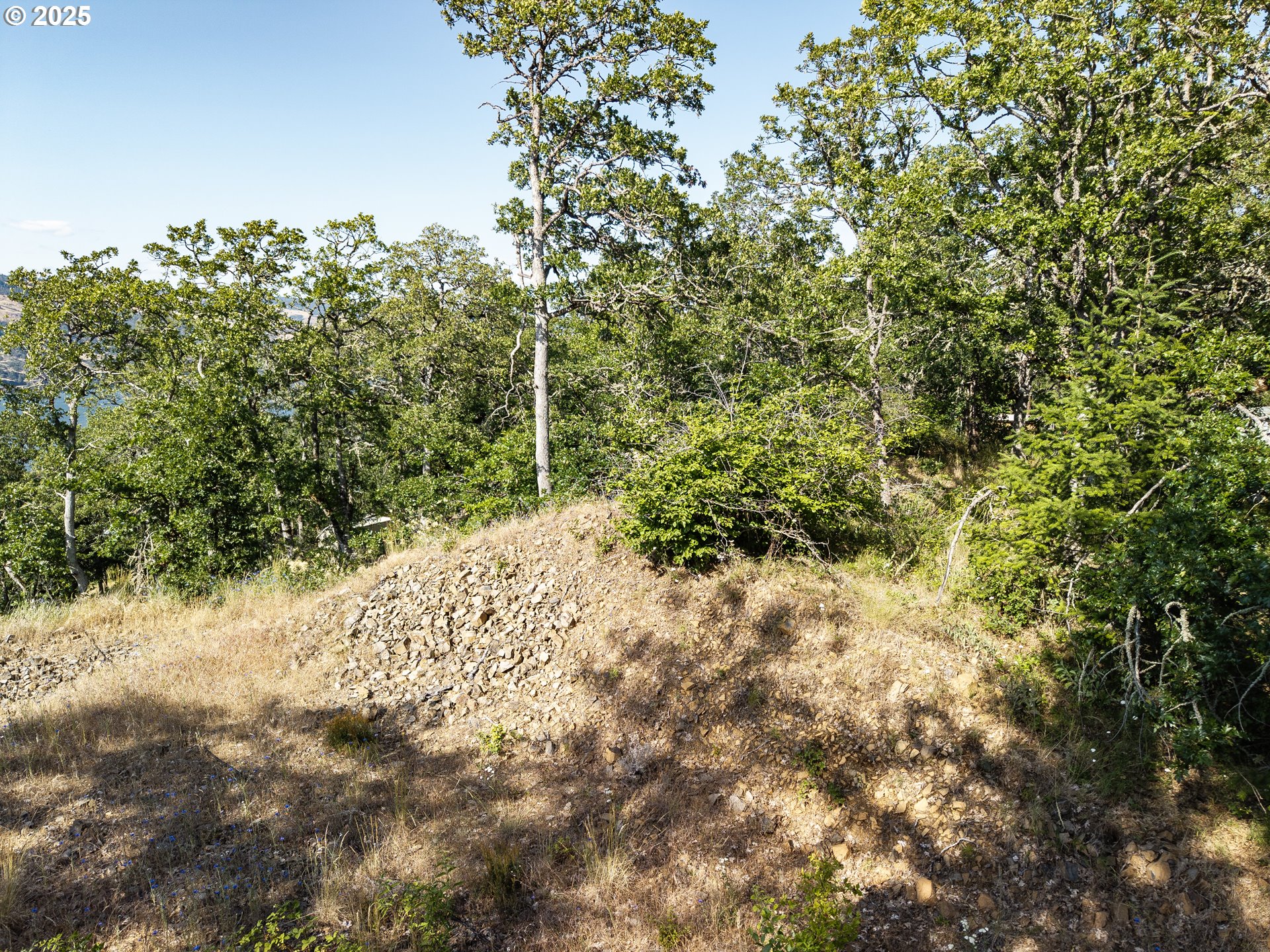 Coyote Ct Lot #49 Property Photo 11