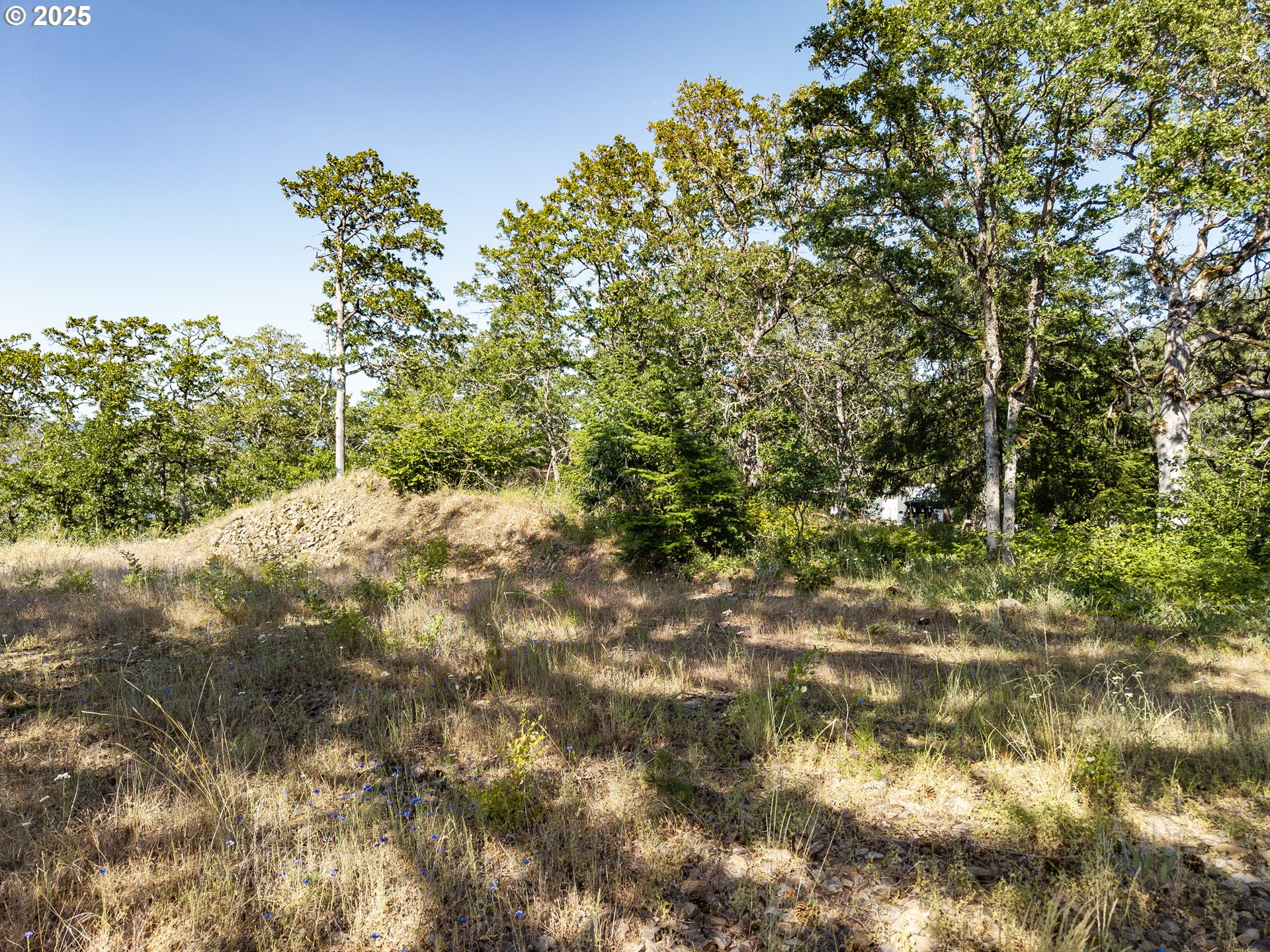 Coyote Ct Lot #49 Property Photo 12