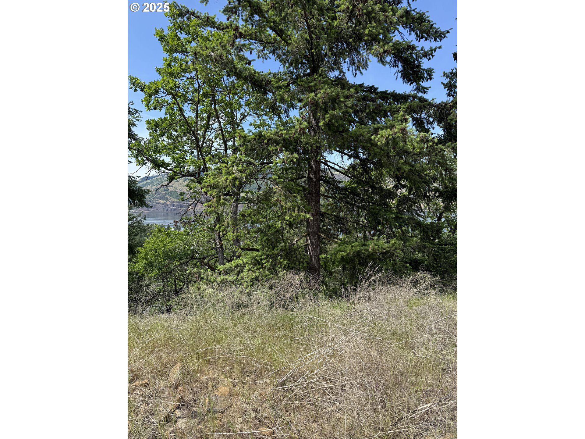 Coyote Ct Lot #49 Property Photo 14