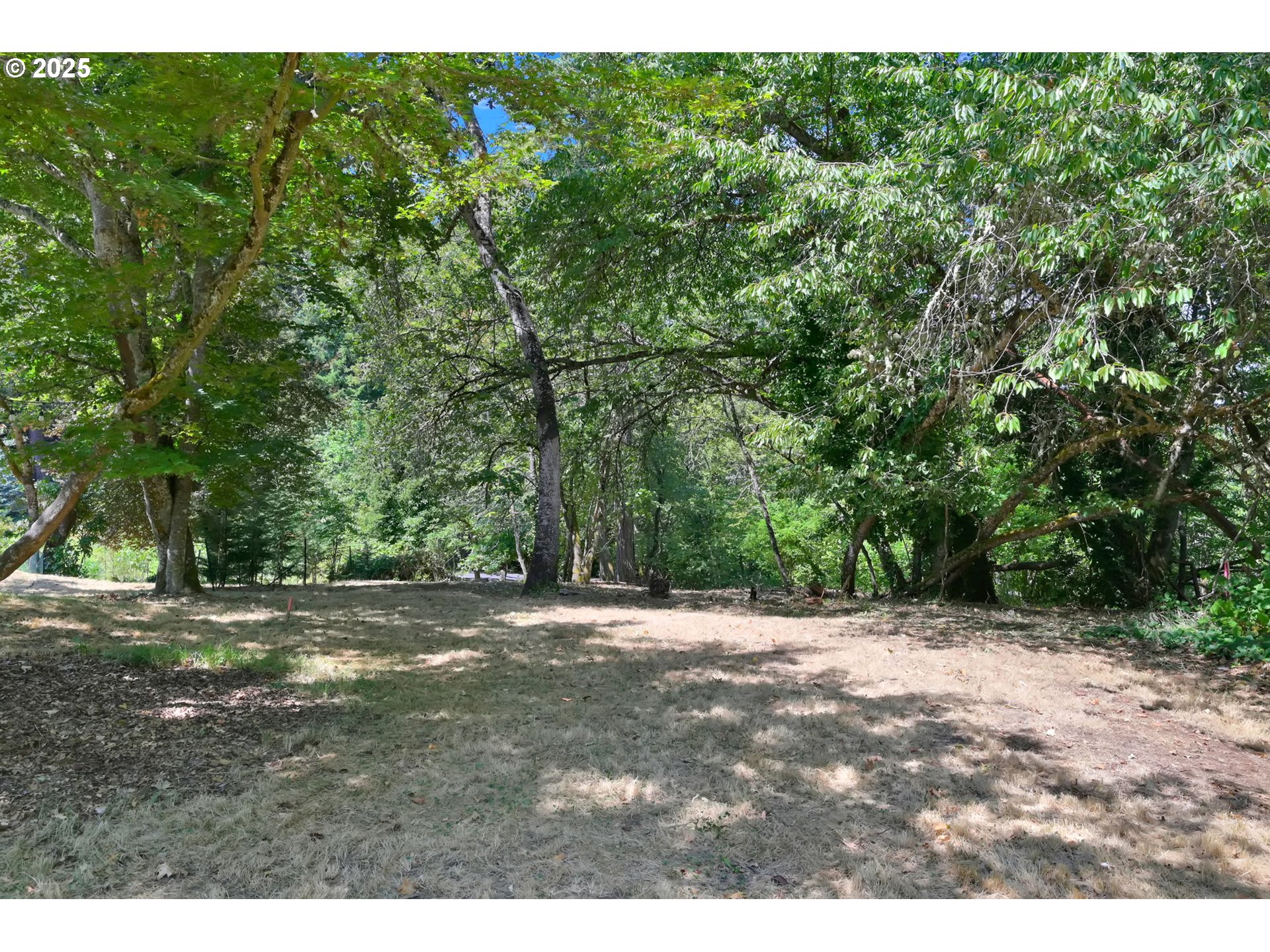 2 Storey Blvd Property Photo 3