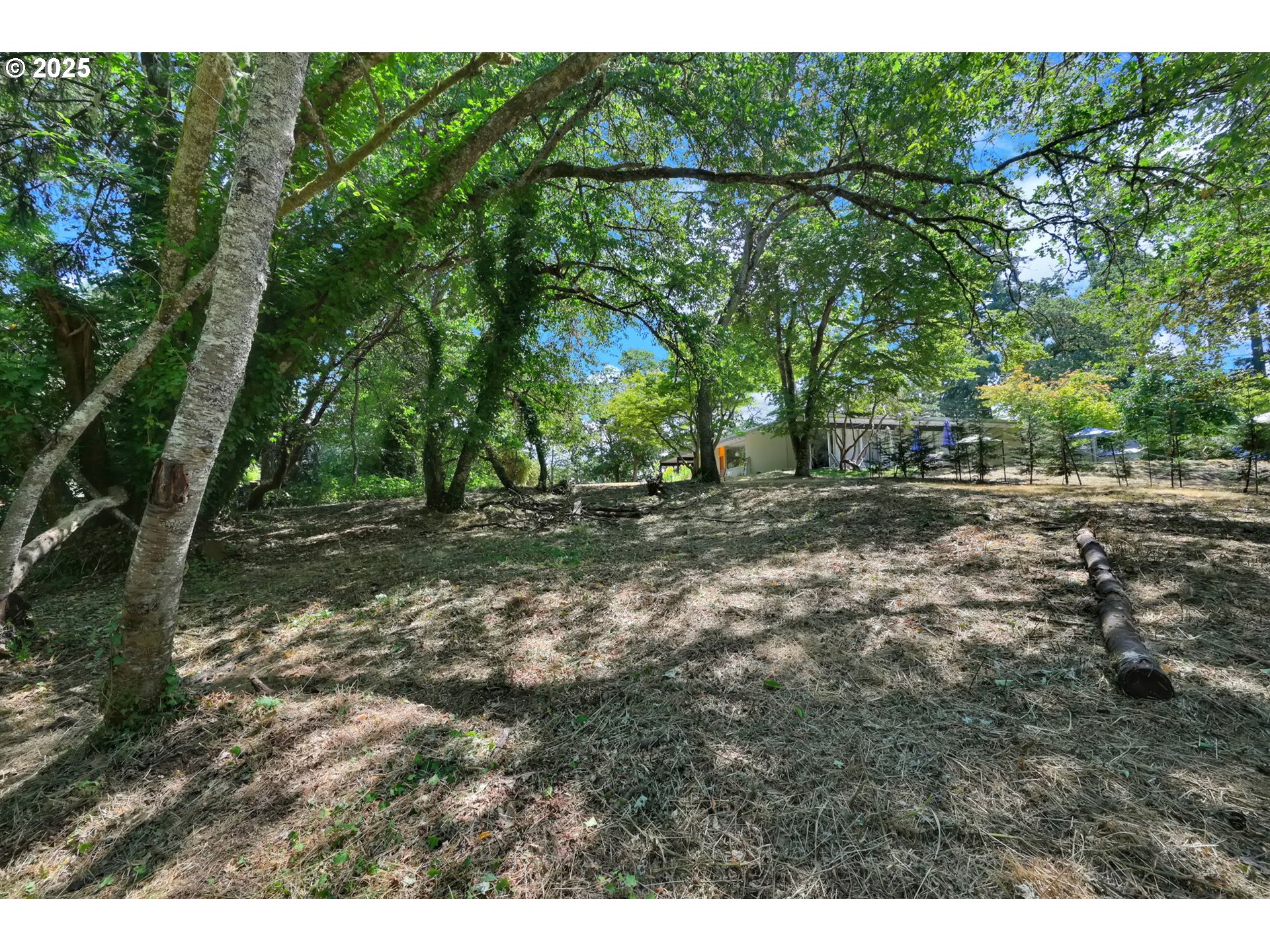 2 Storey Blvd Property Photo 4